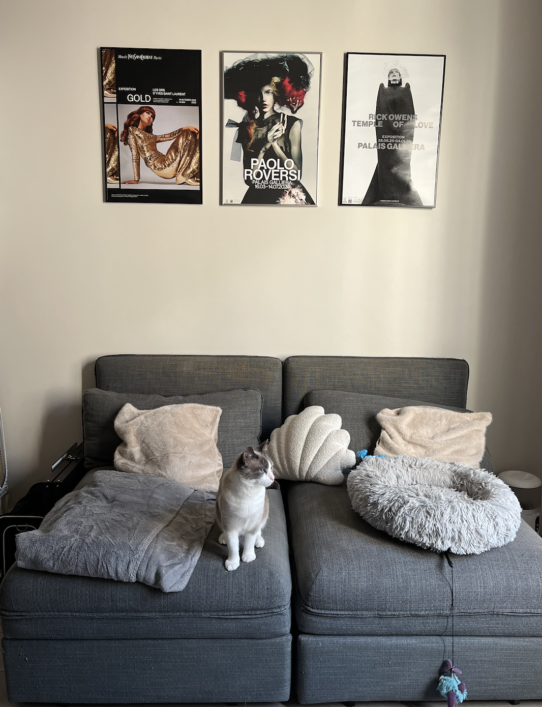 image-19