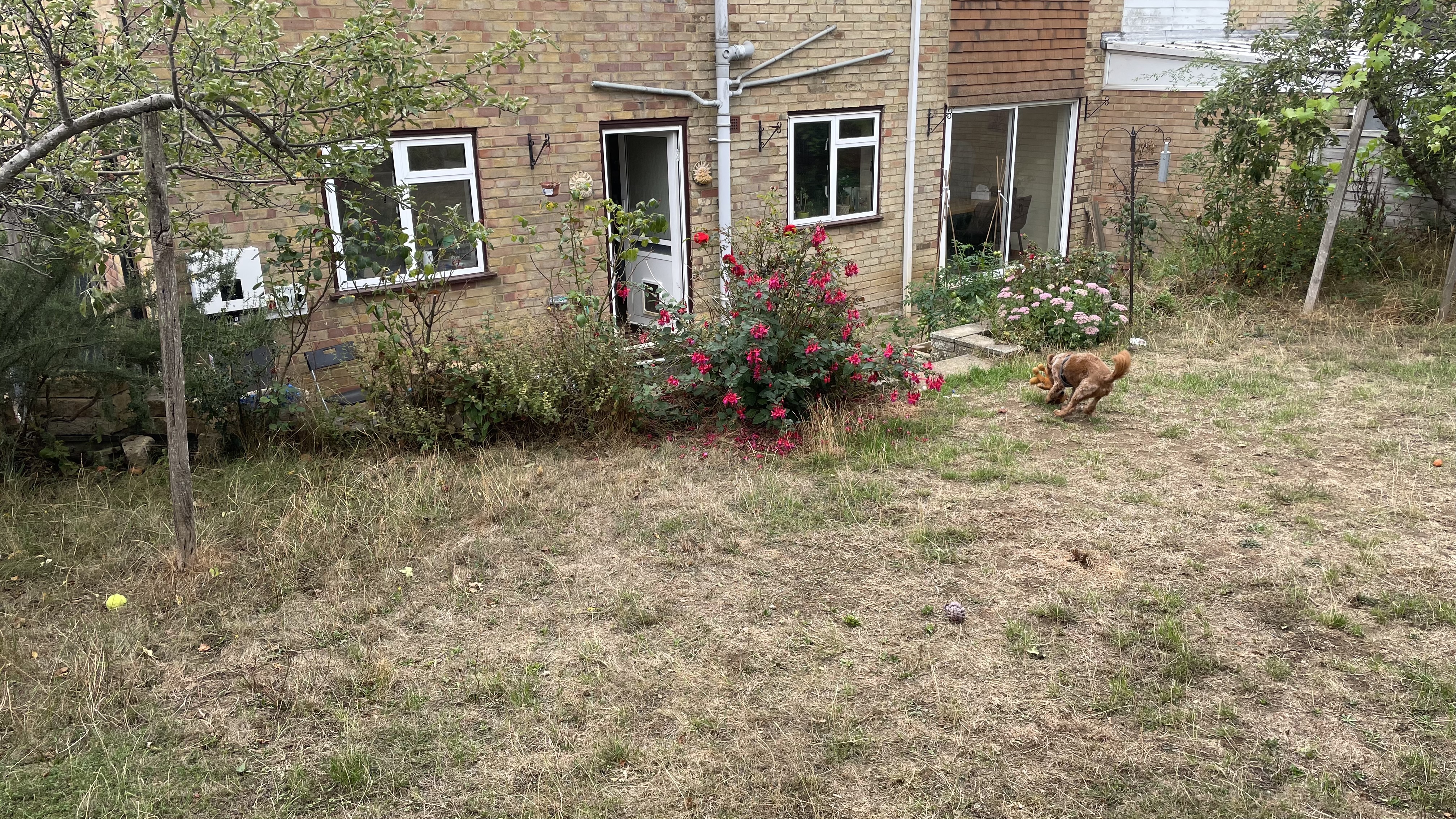 image-12