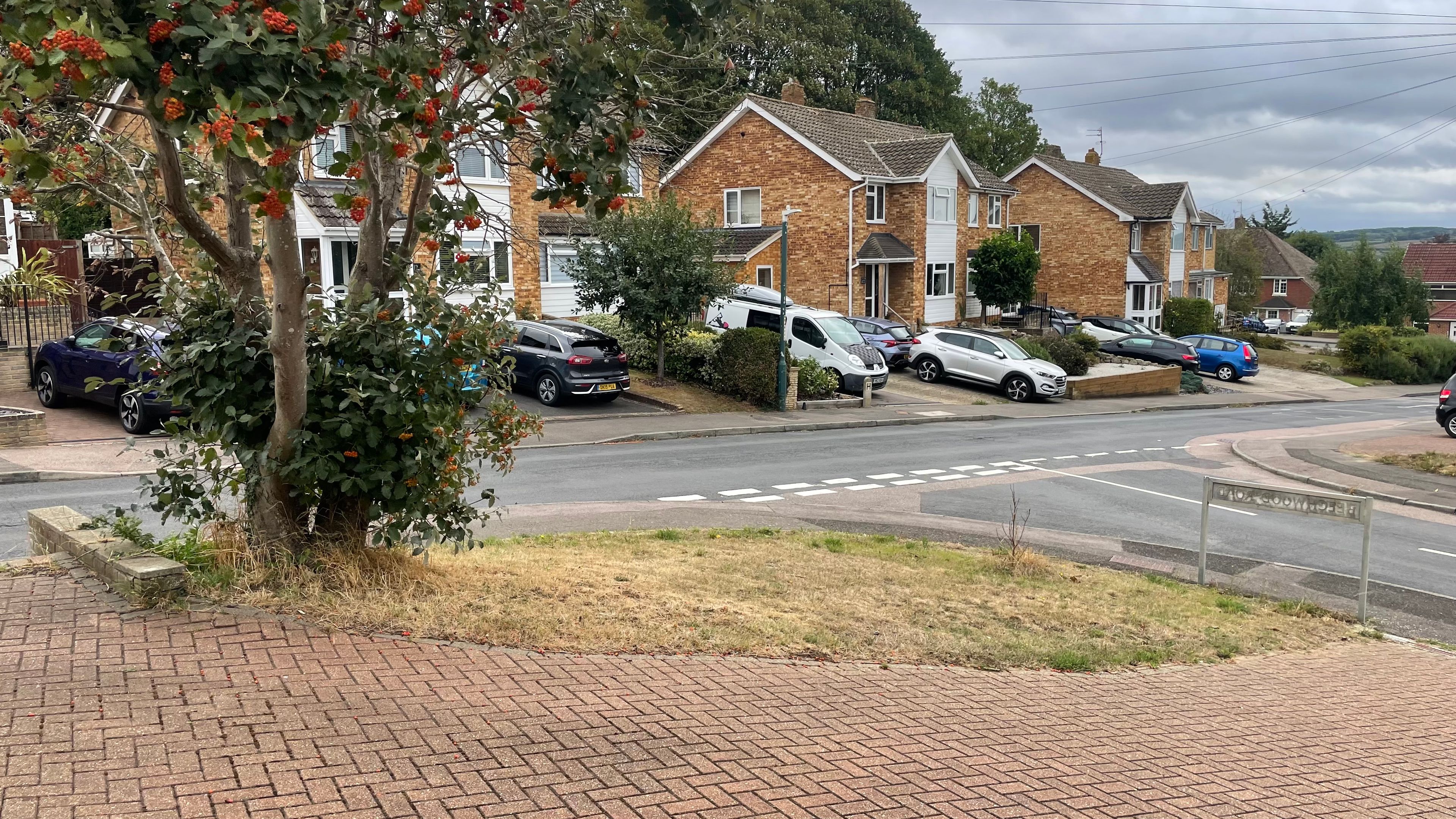 image-17