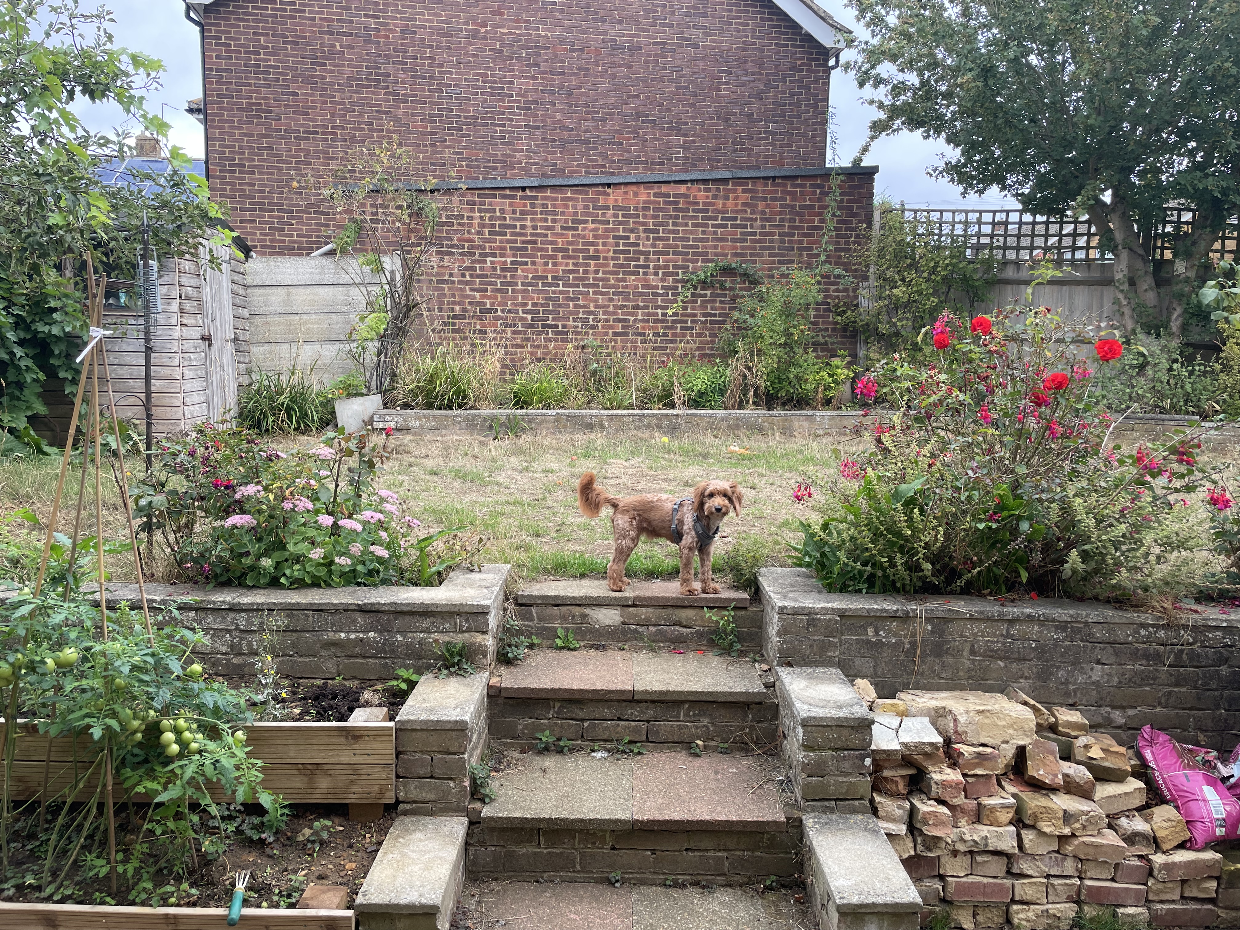 image-6