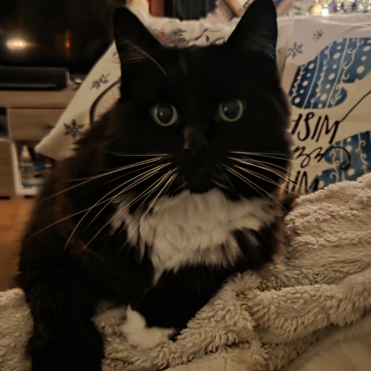 Lily