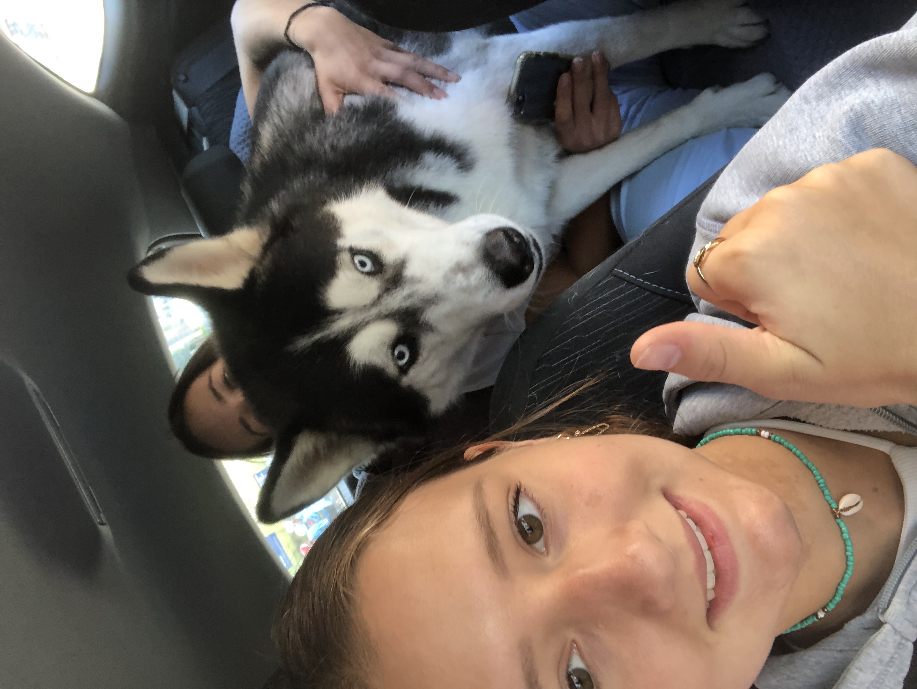 image-15