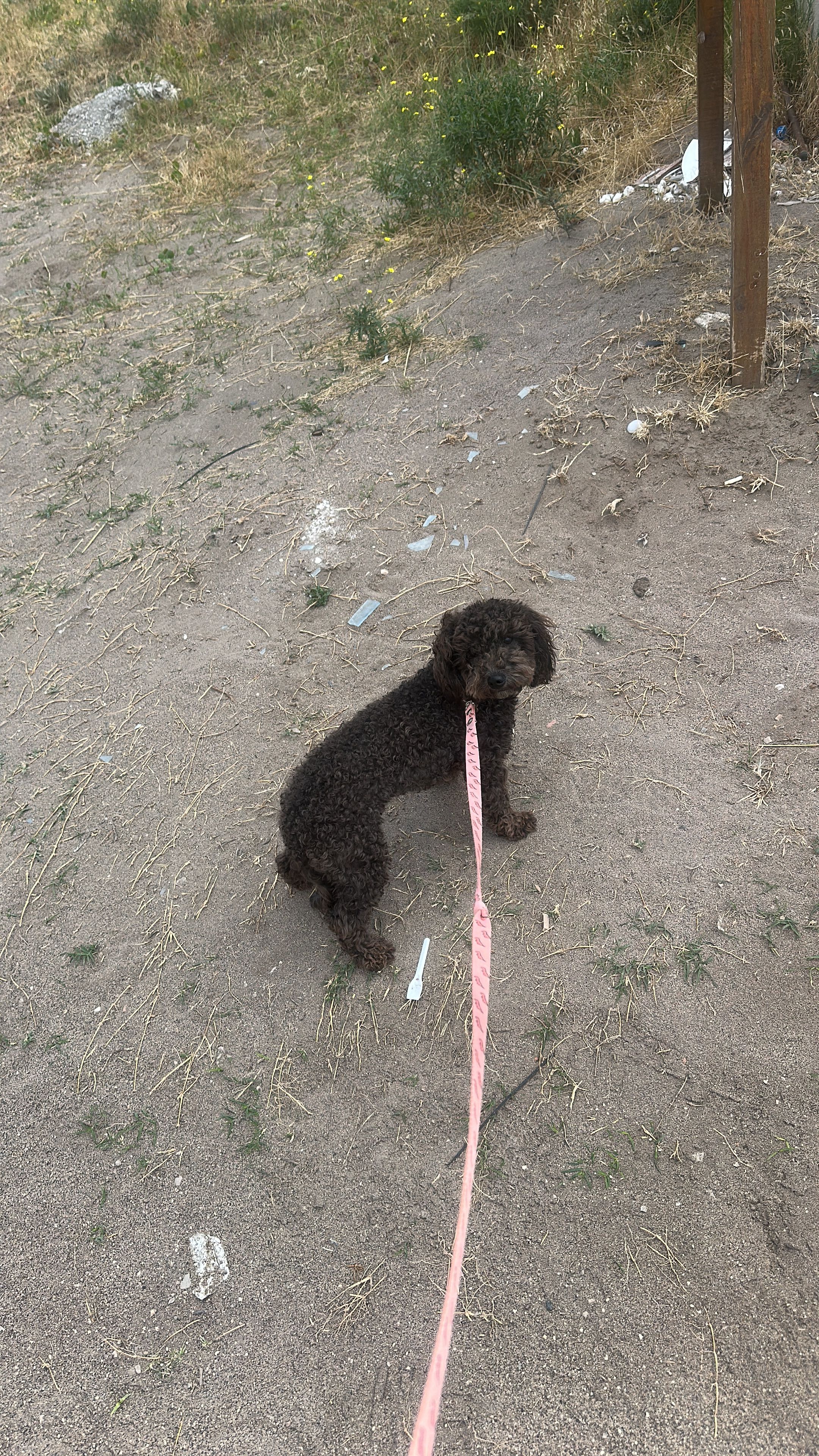 image-7