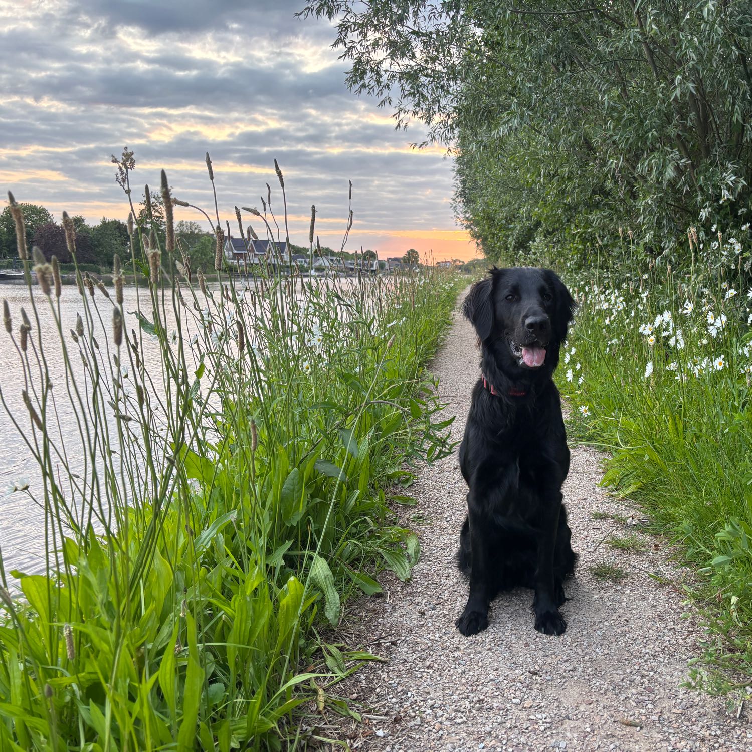 Jörg