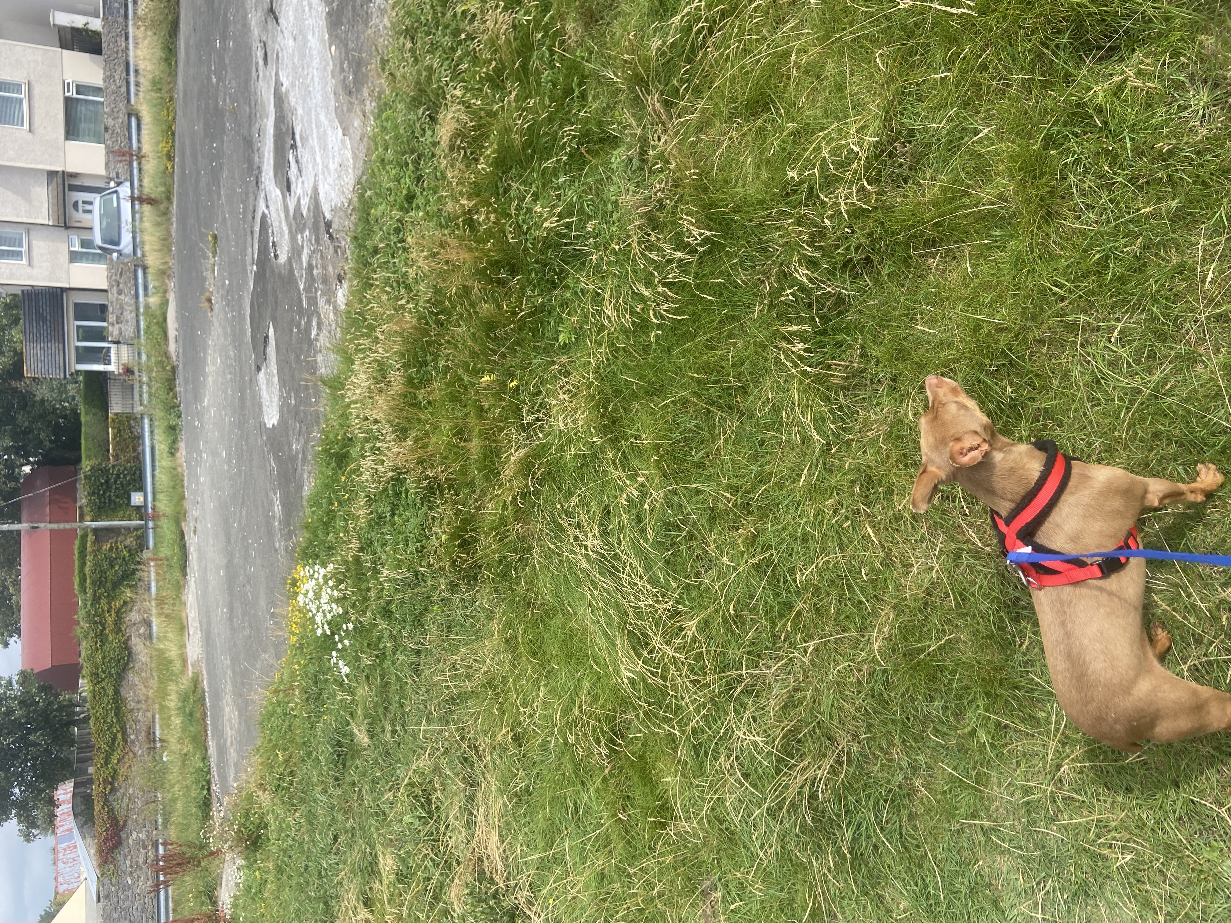 image-5