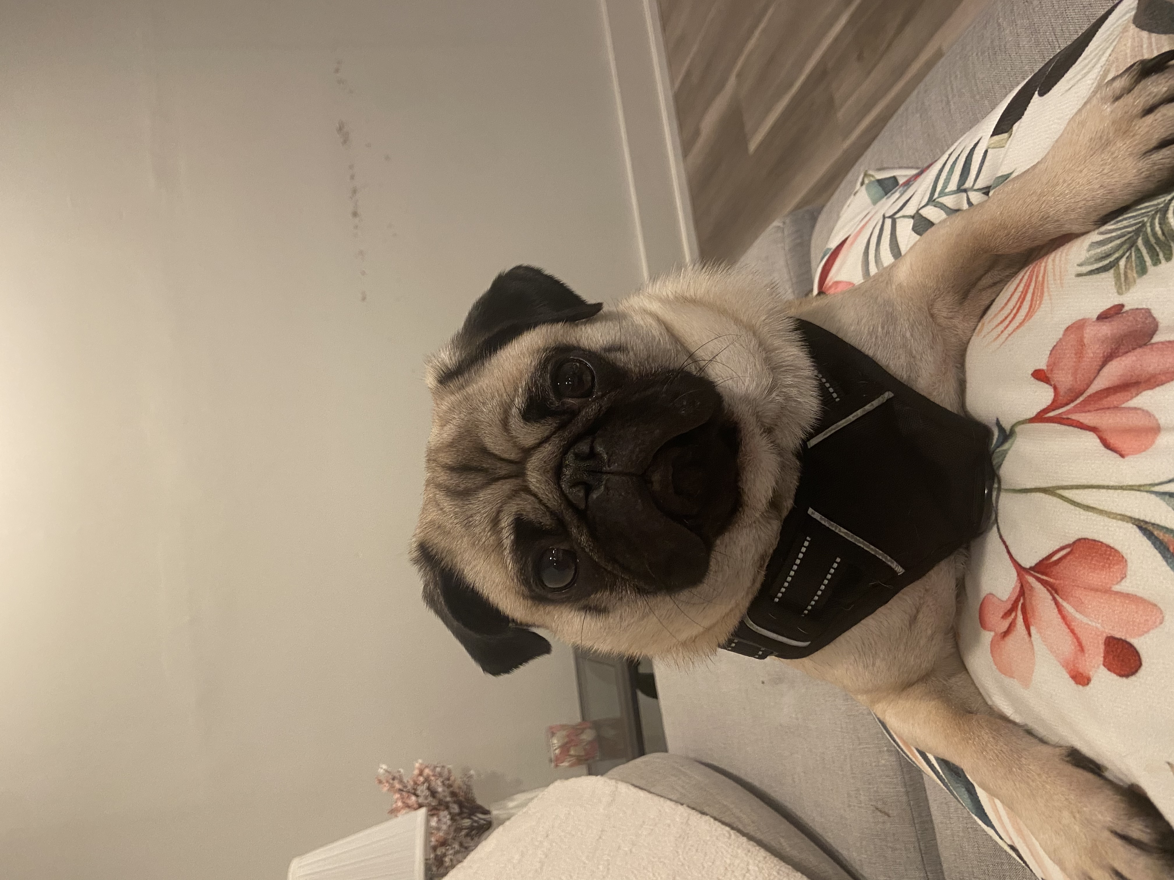 image-8