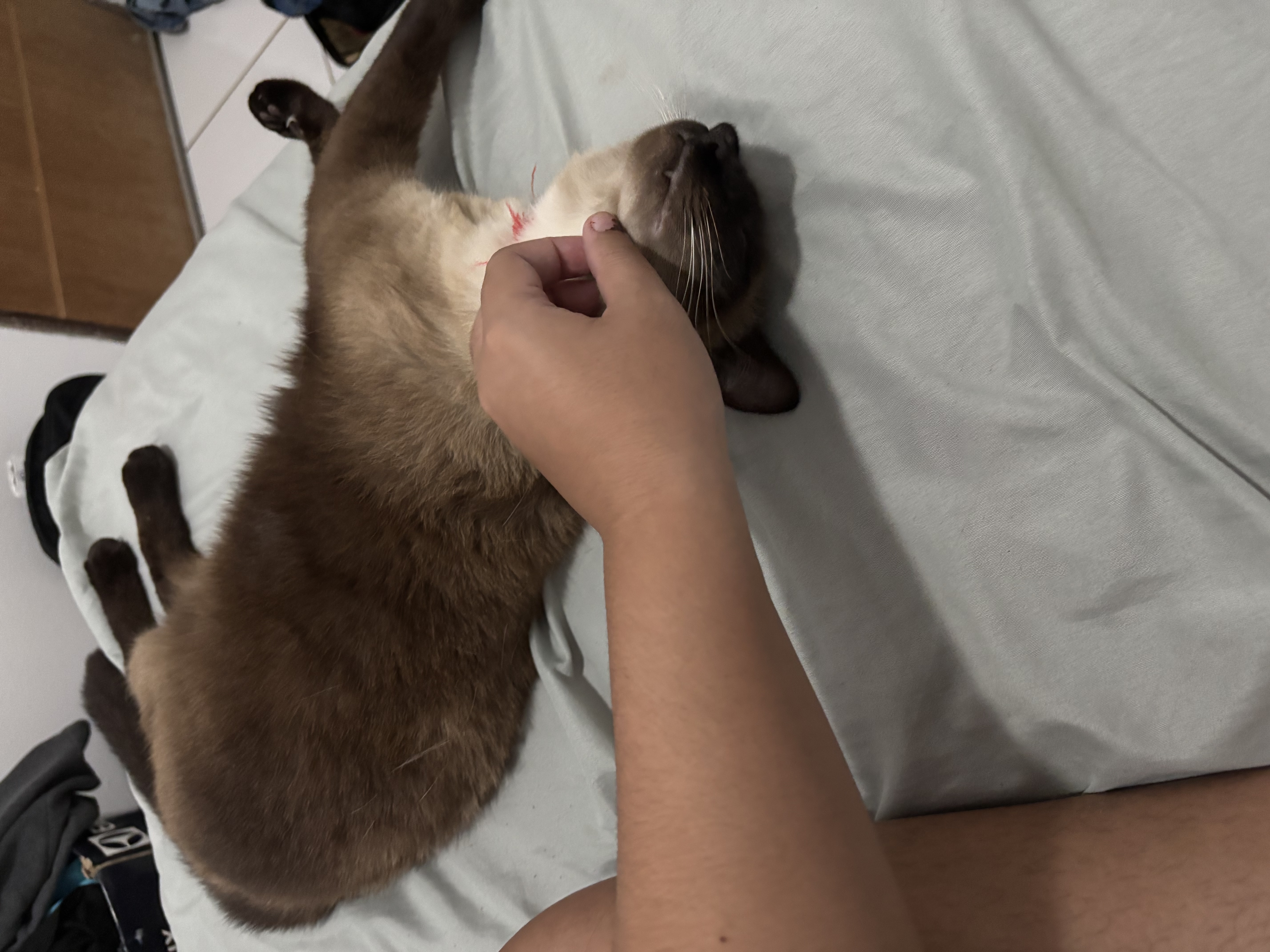 image-6