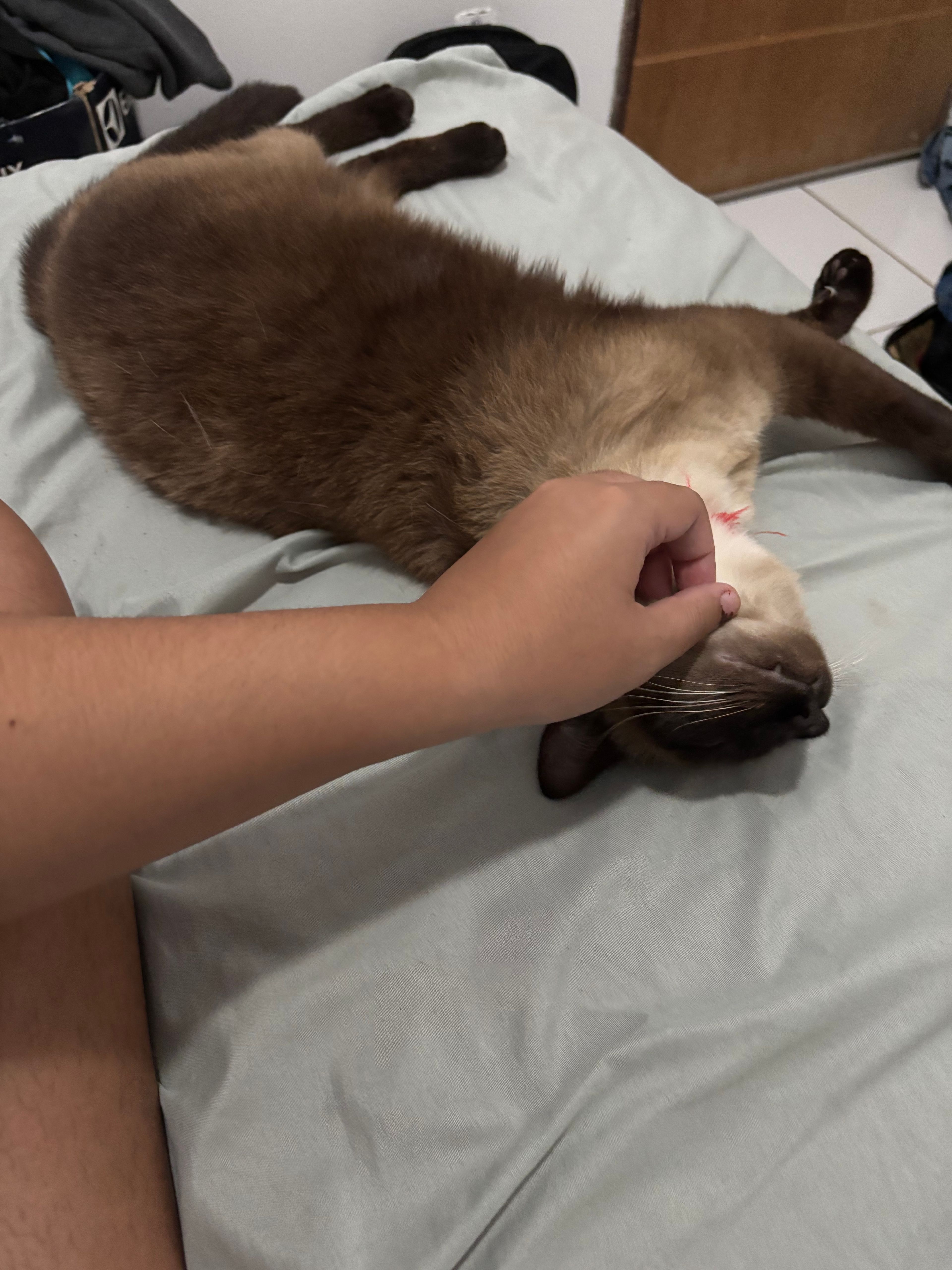 image-6