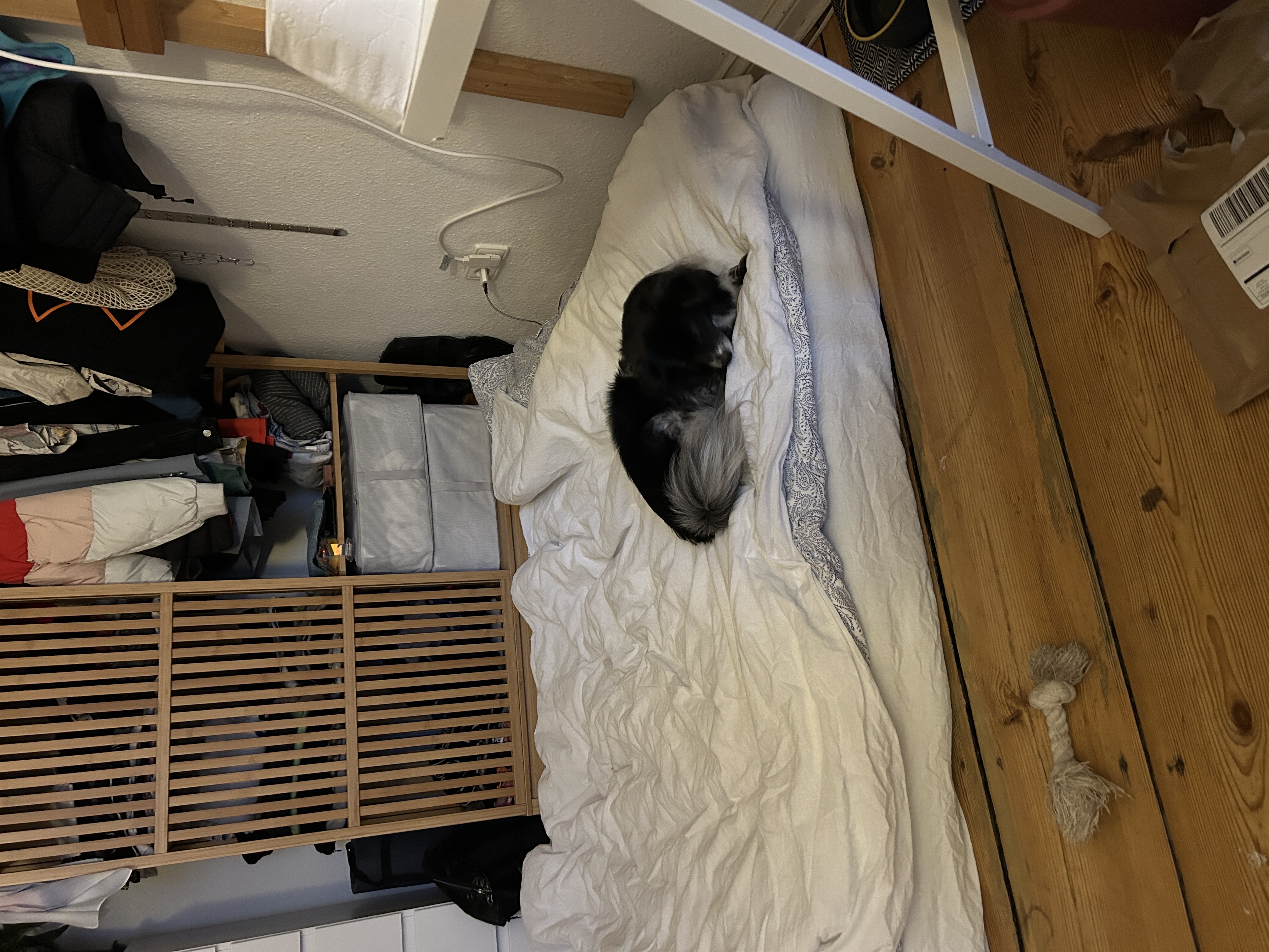 image-8