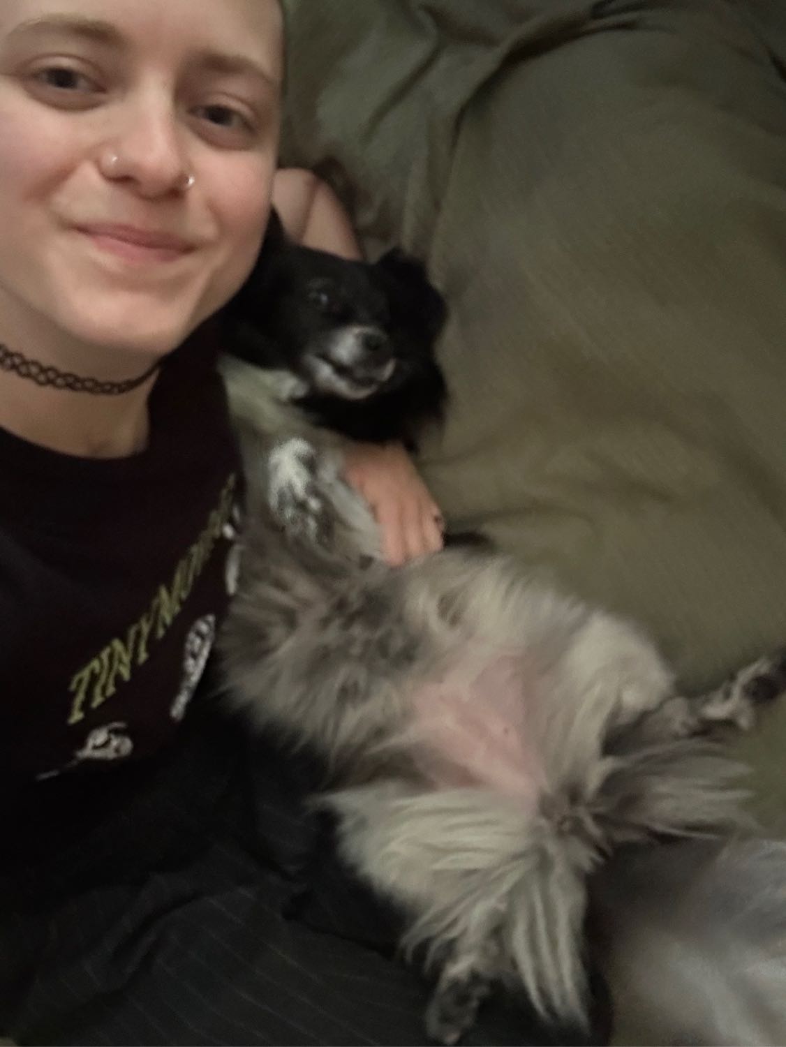 image-6
