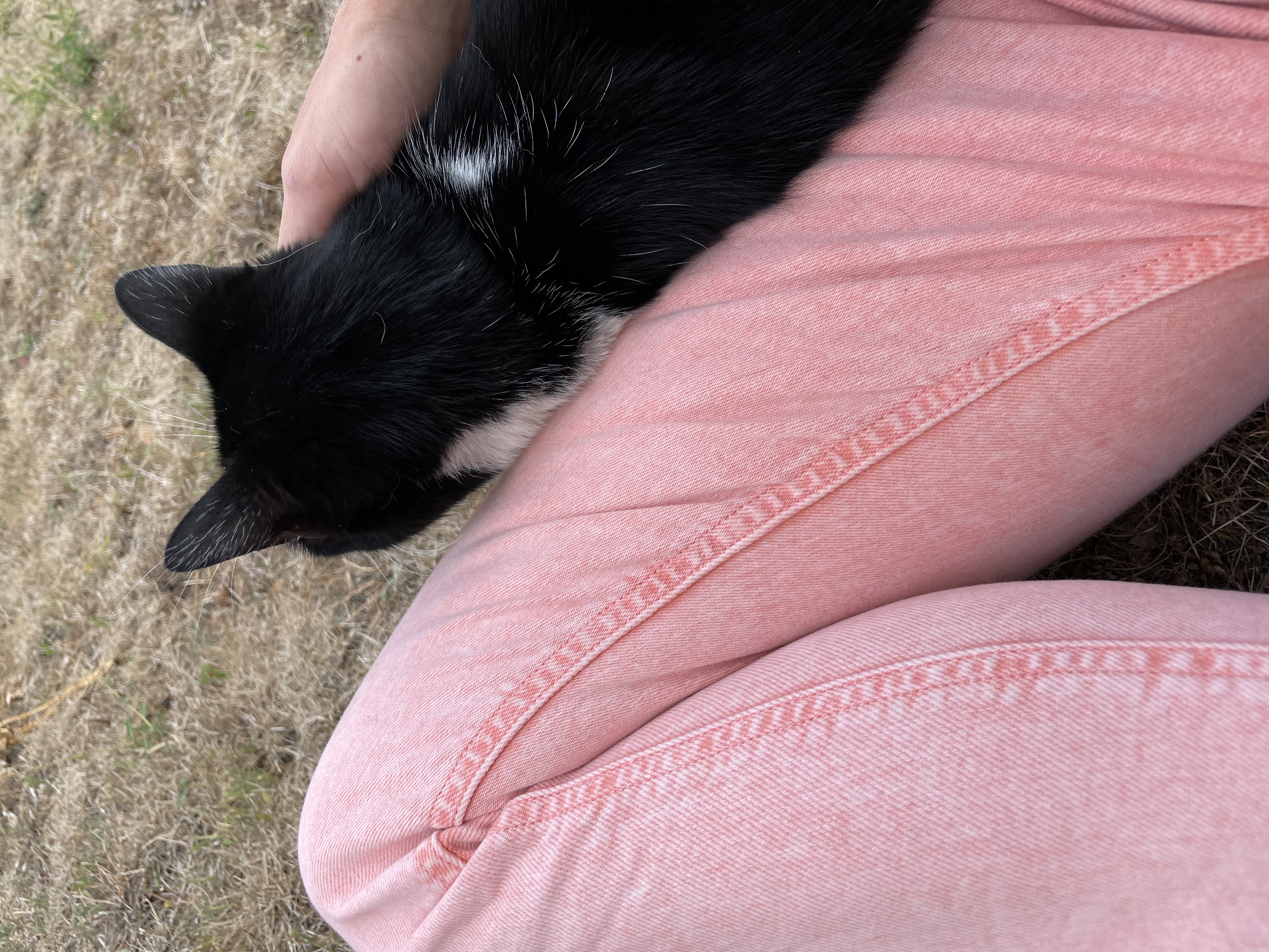 image-6