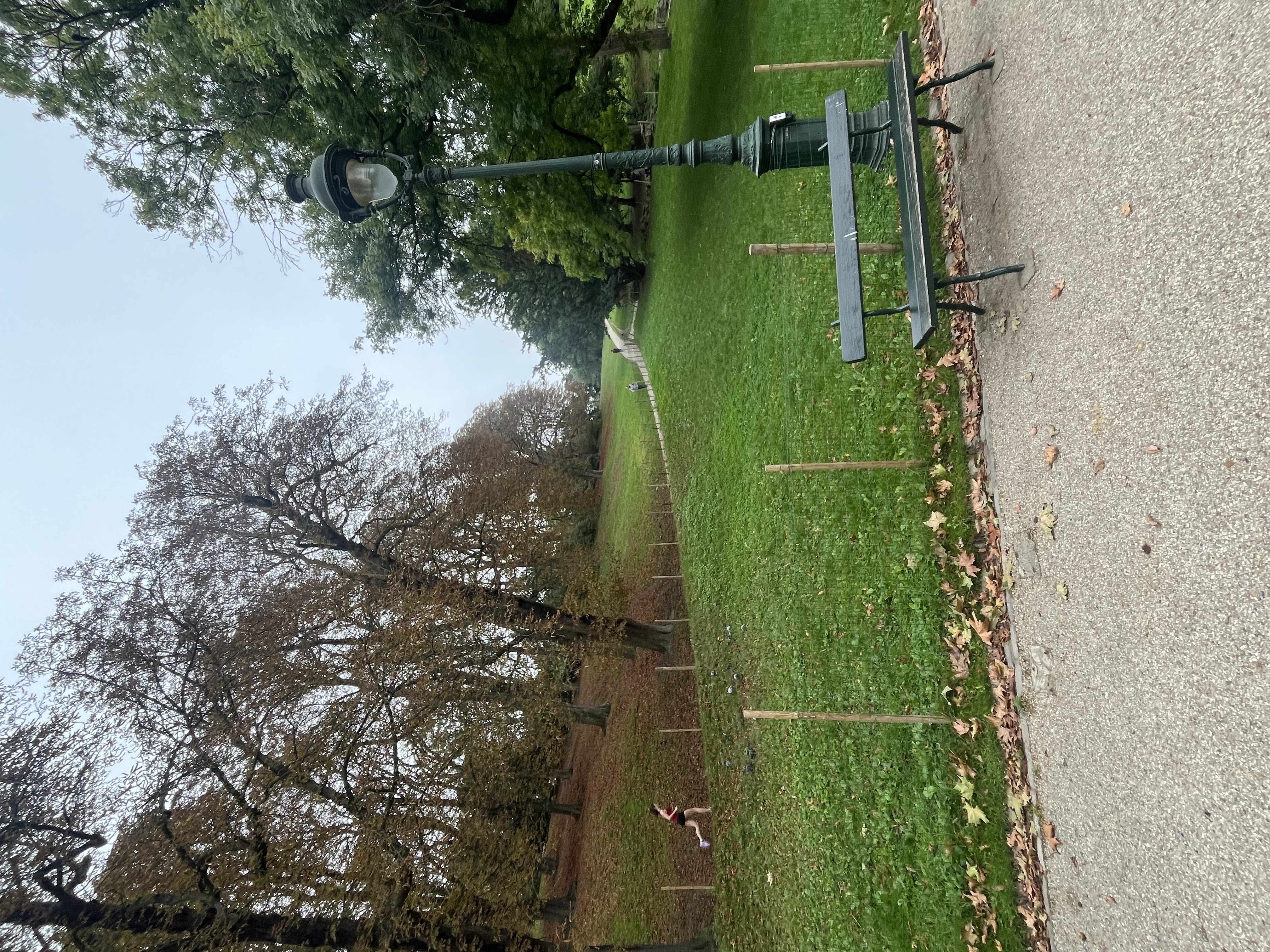 image-20