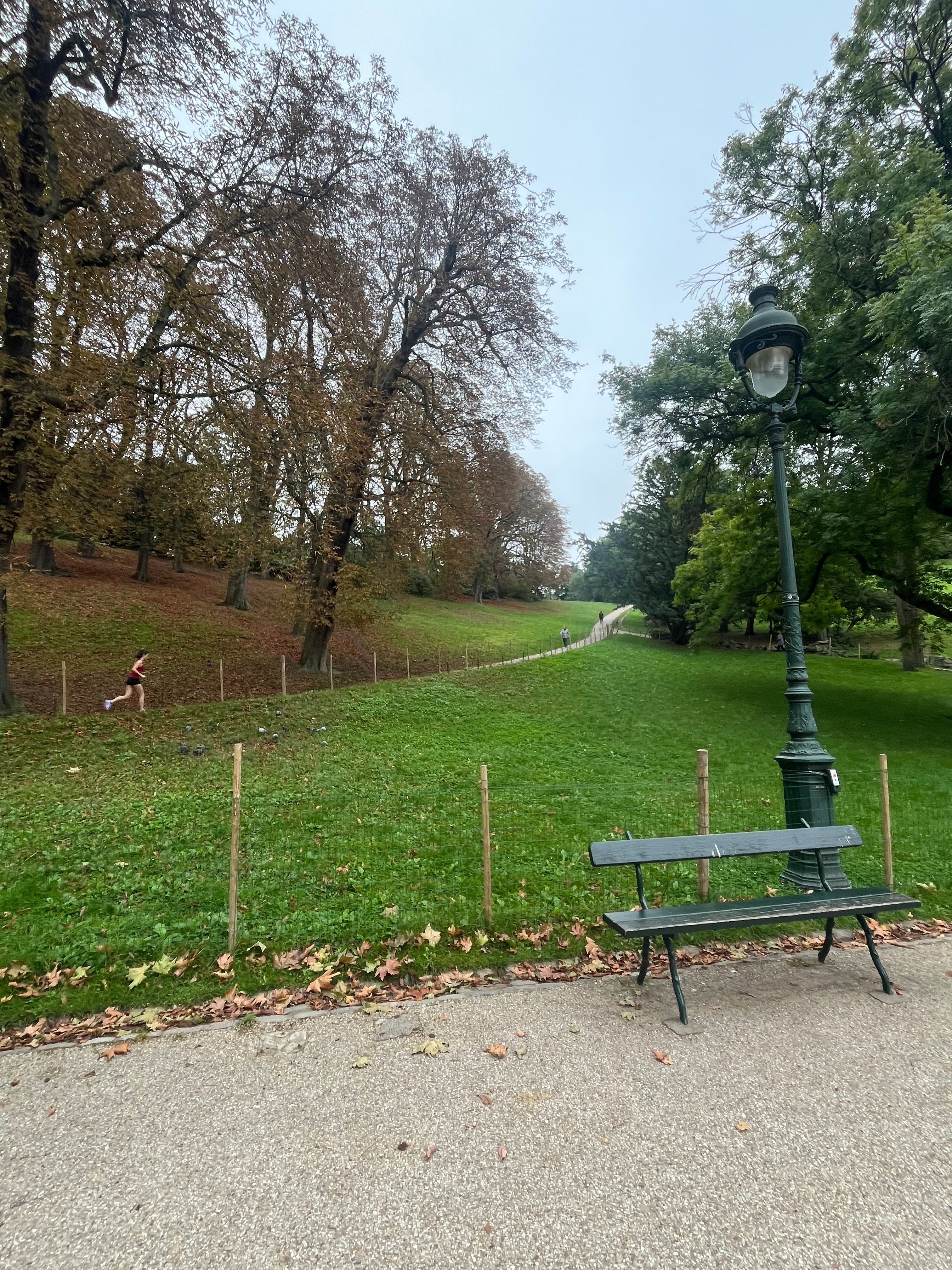 image-20