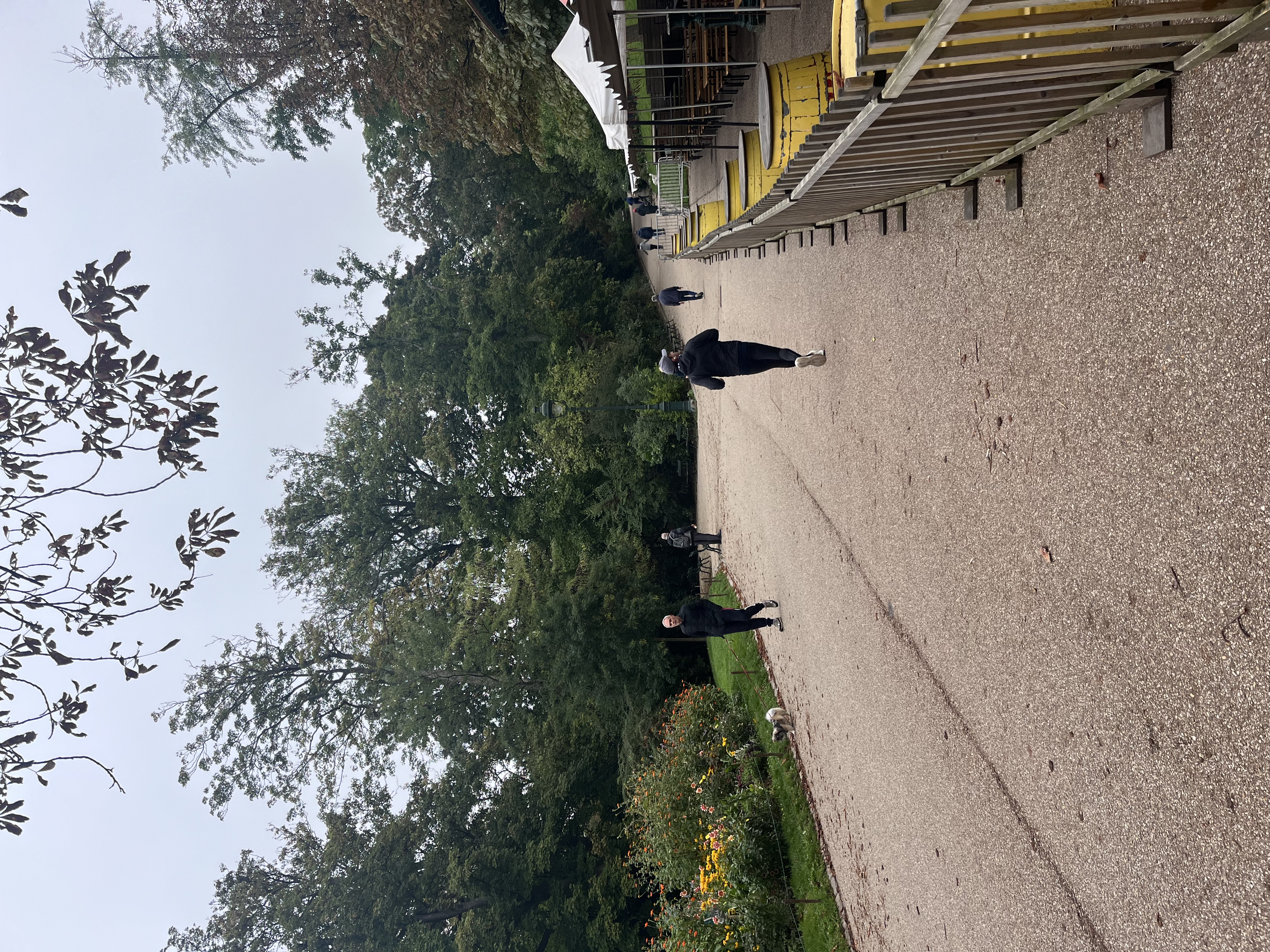 image-23