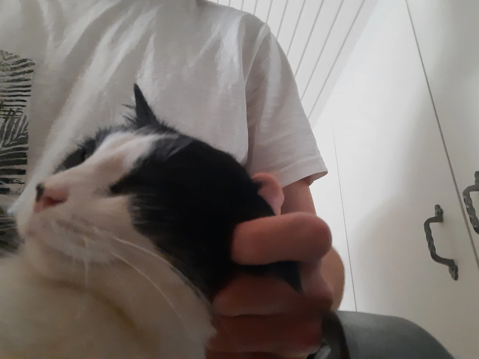 image-8