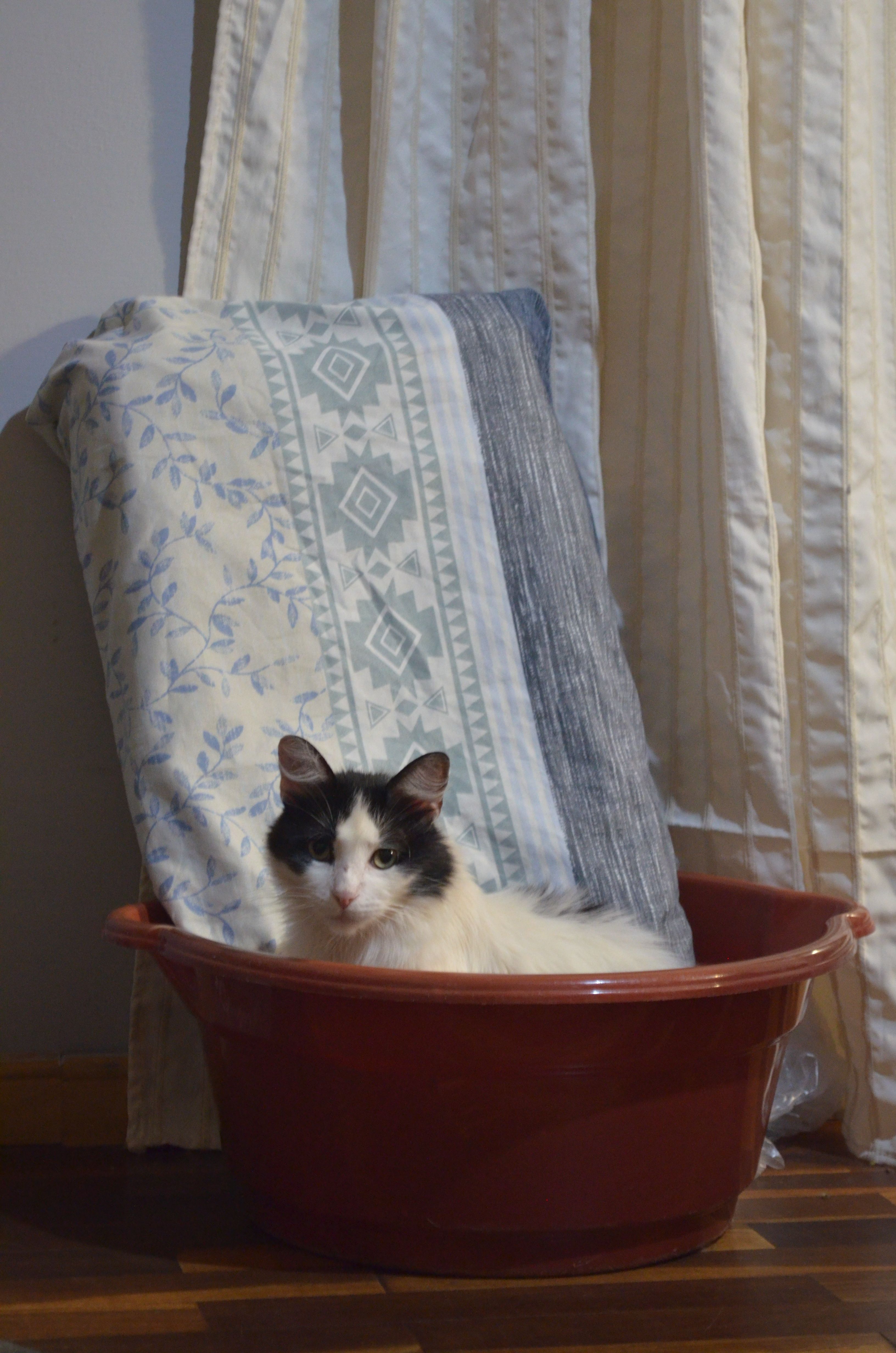 image-9