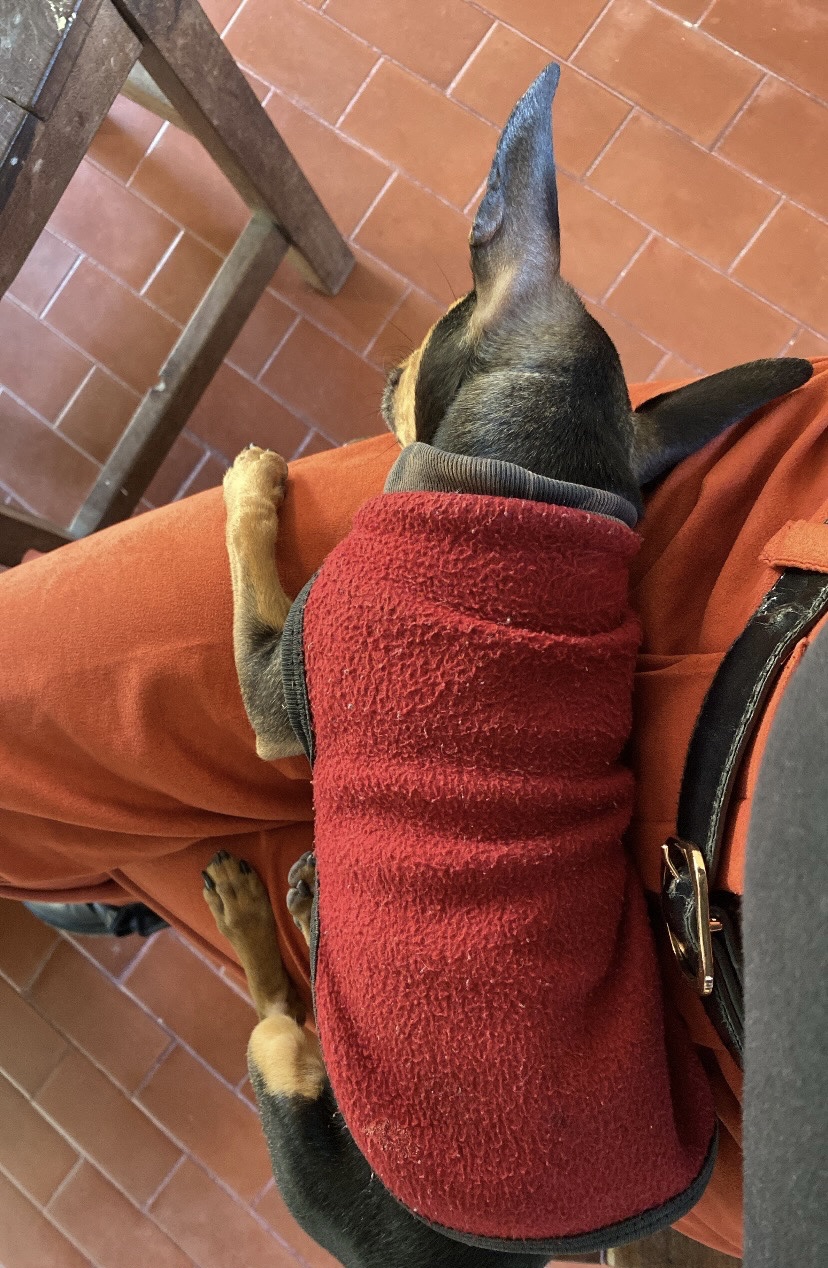 image-7