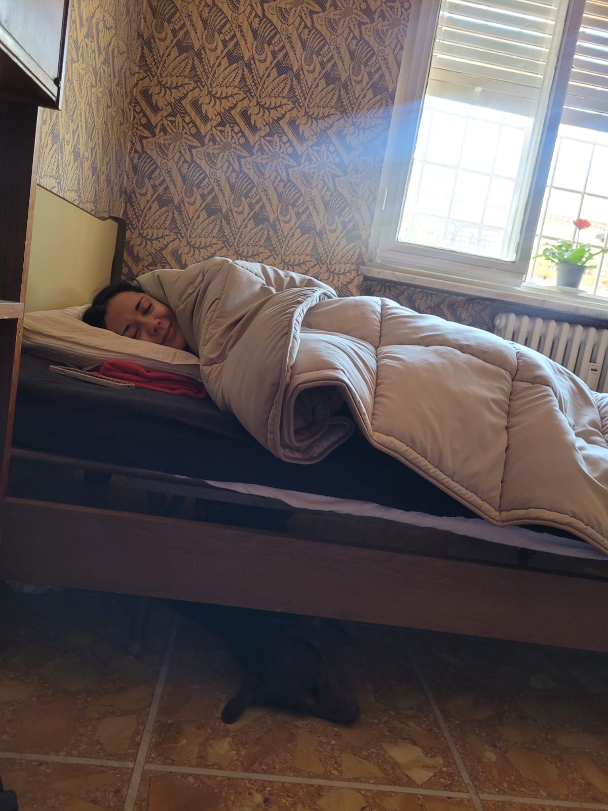 image-4