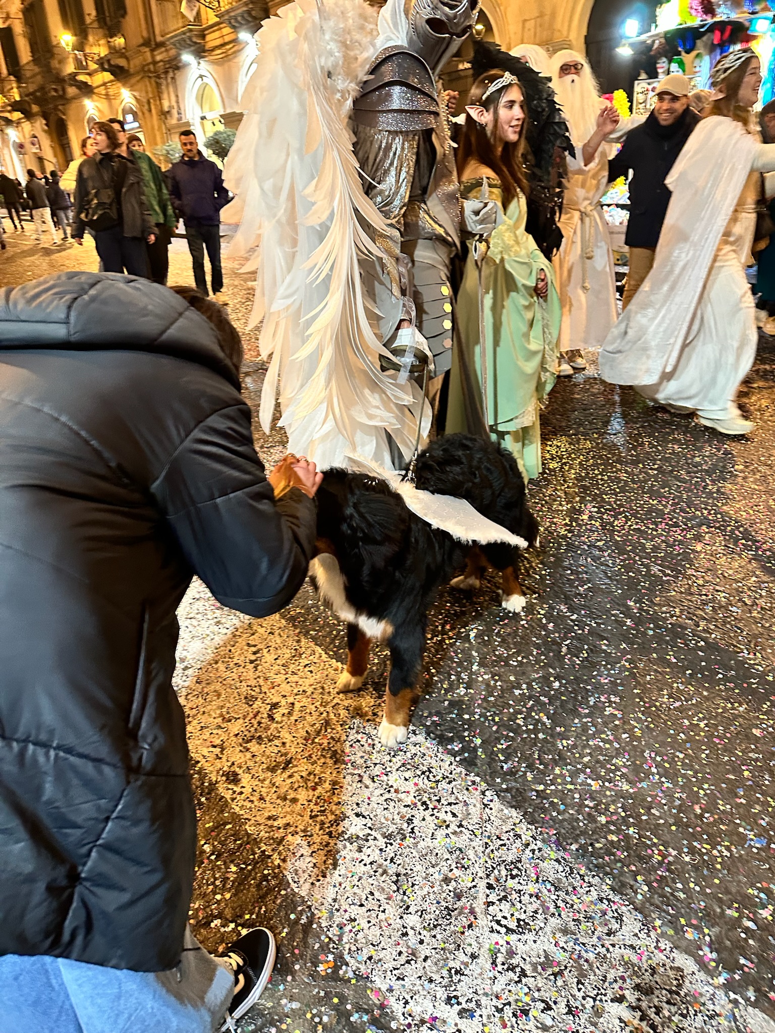 image-10