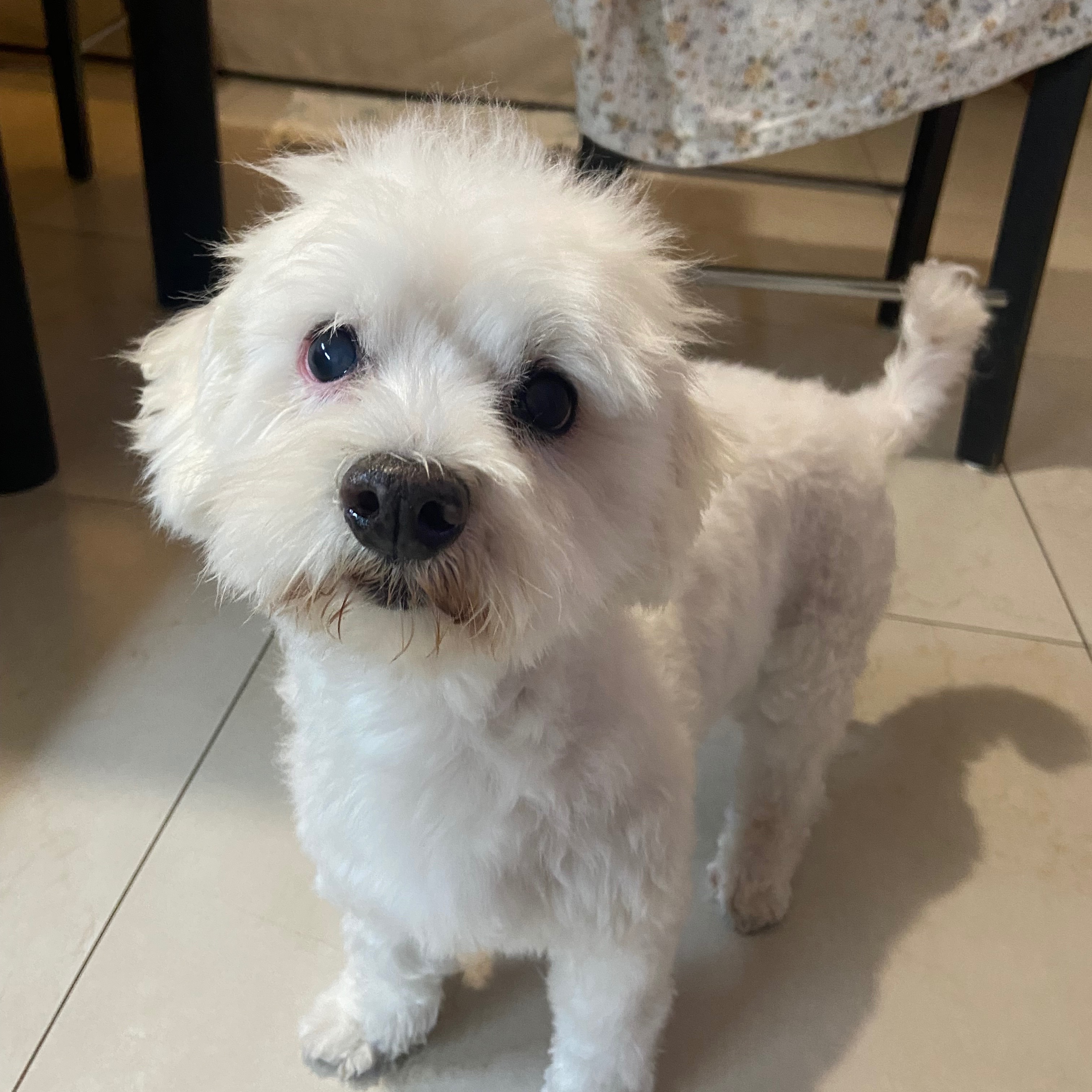Charlie