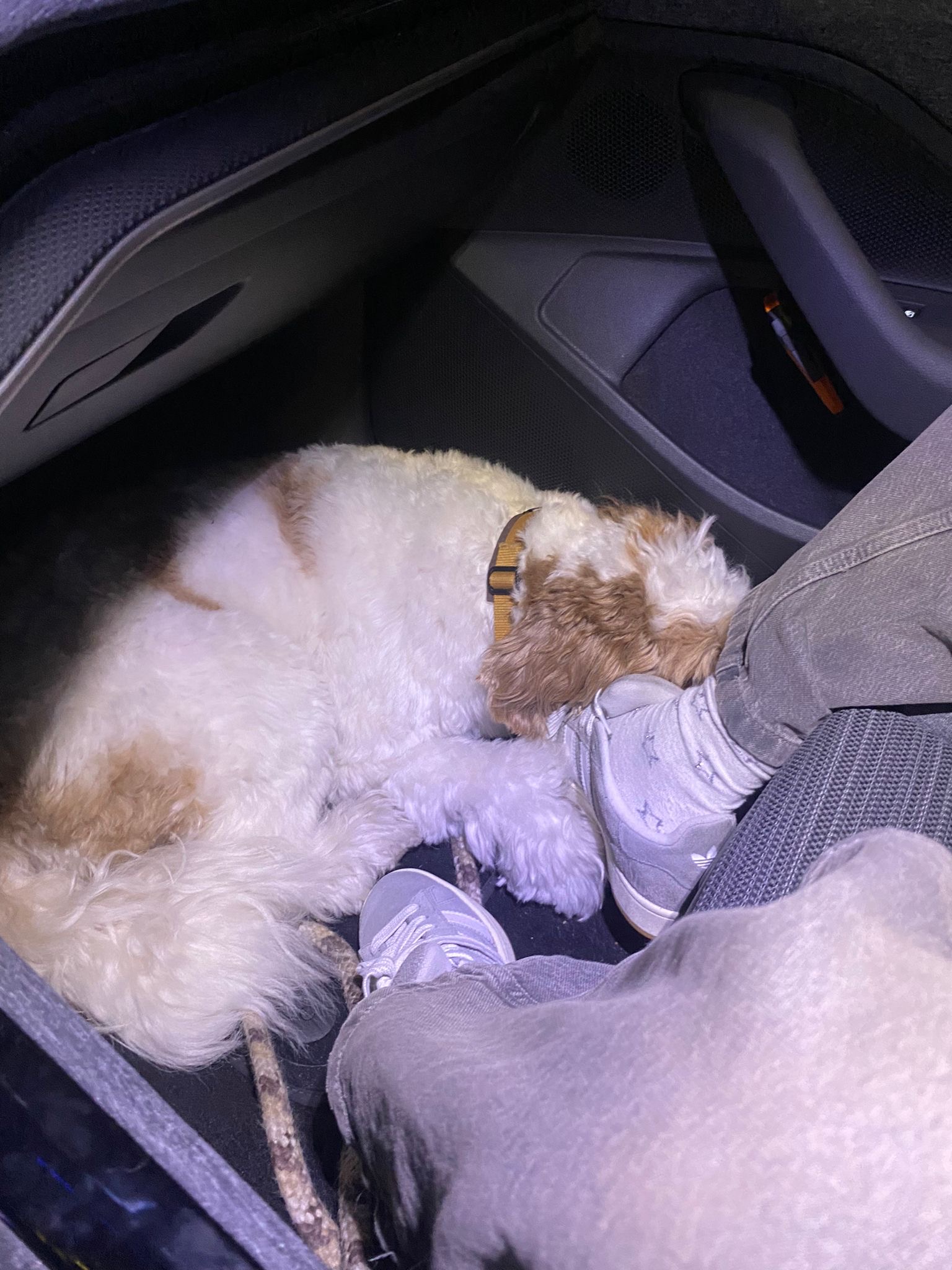 image-7