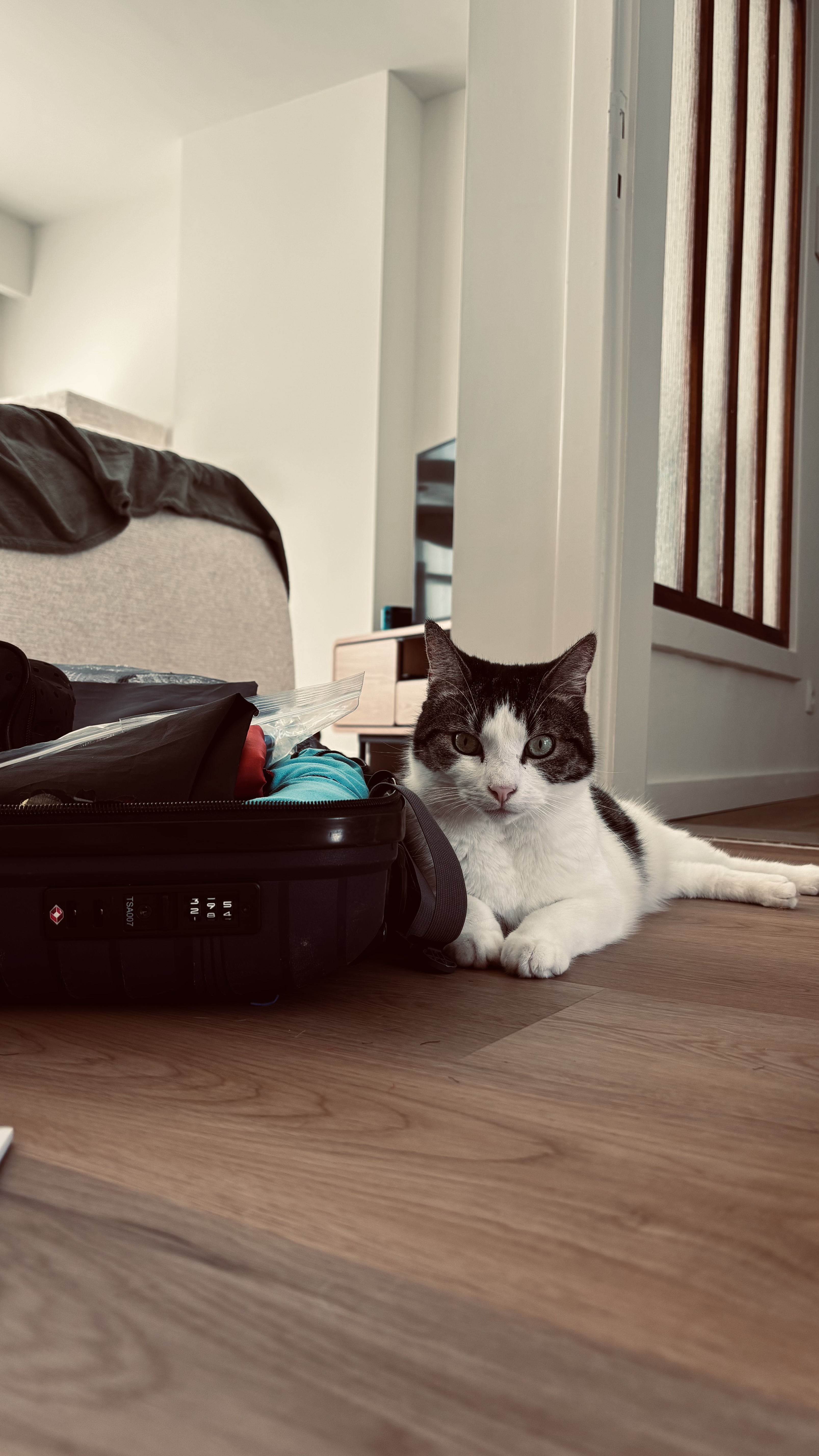 image-22