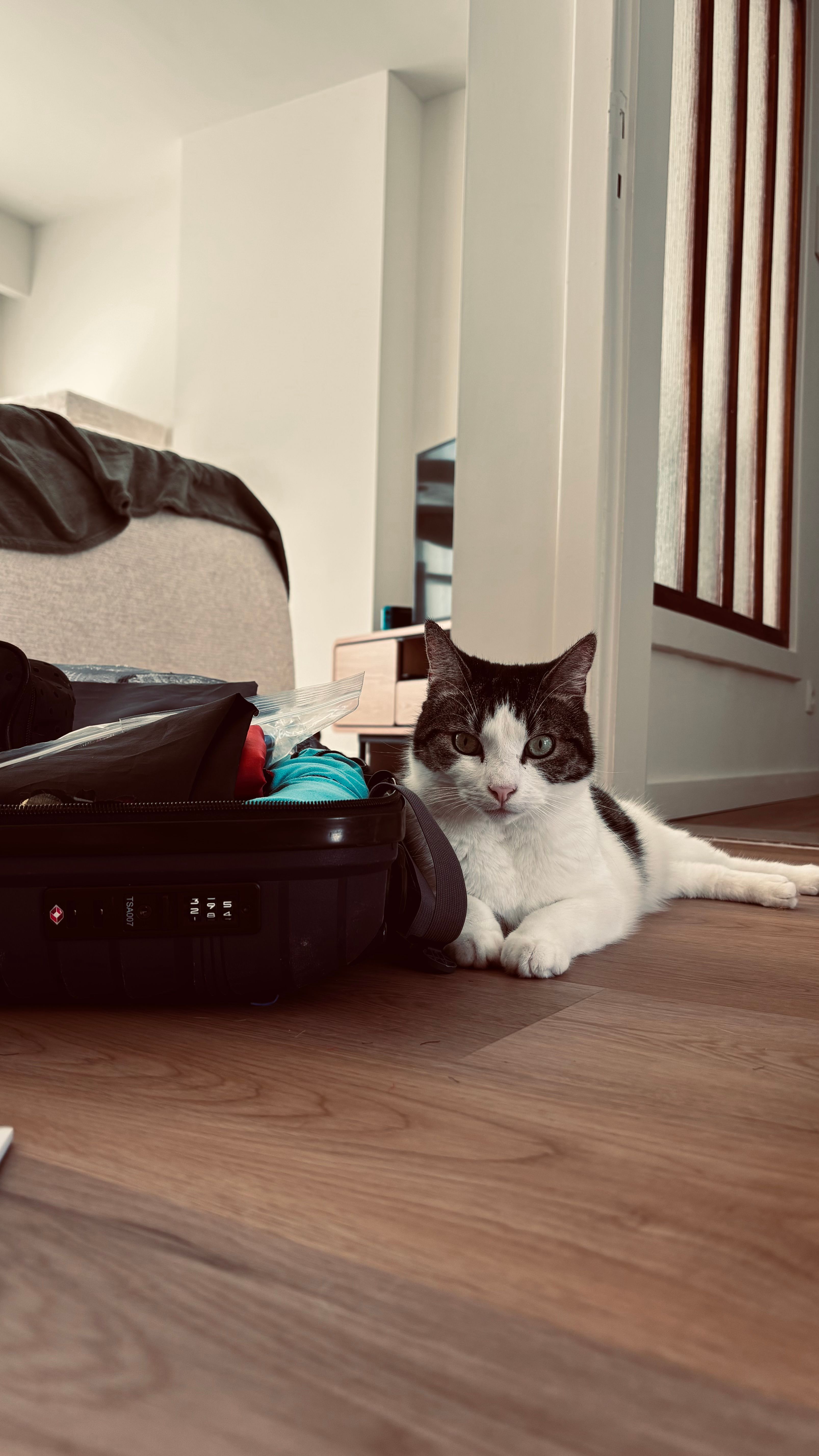 image-22