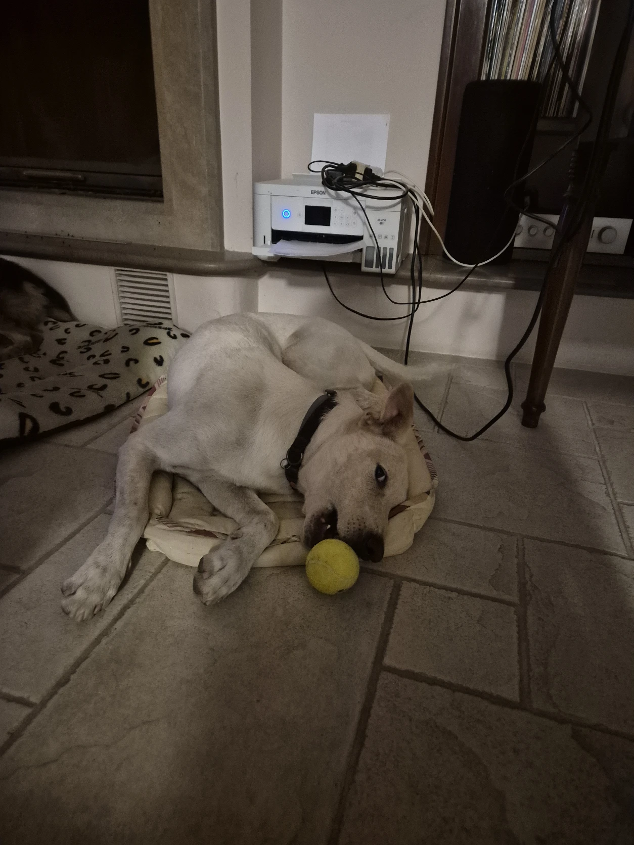 image-10