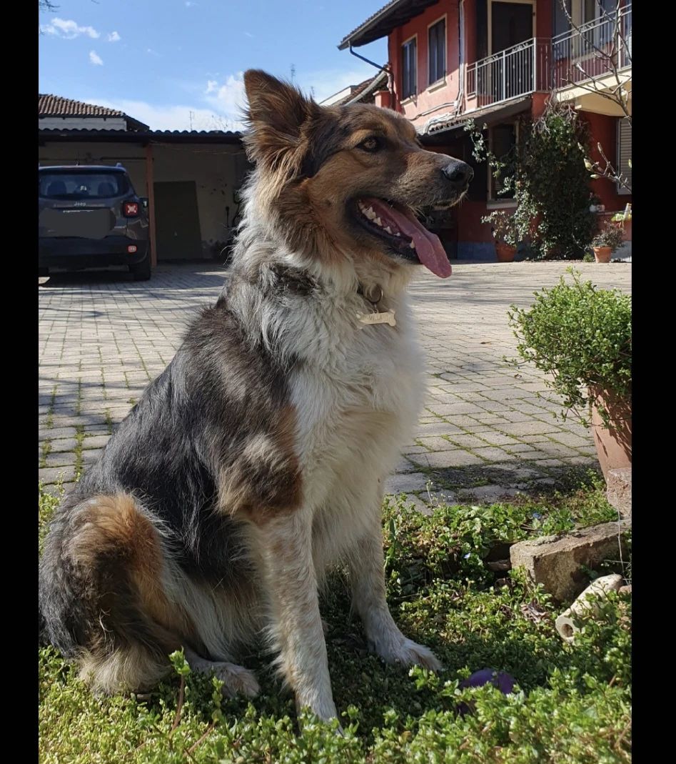 image-11