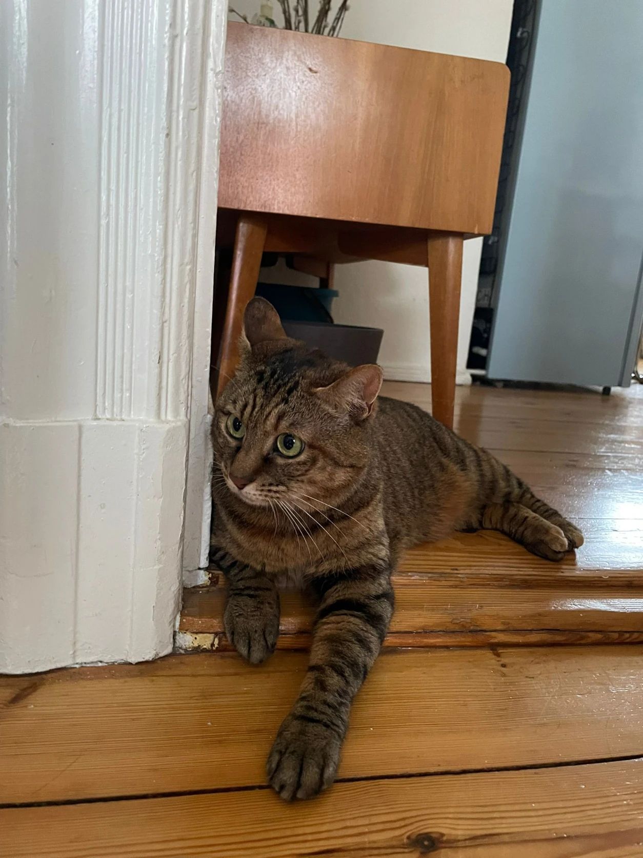 image-6