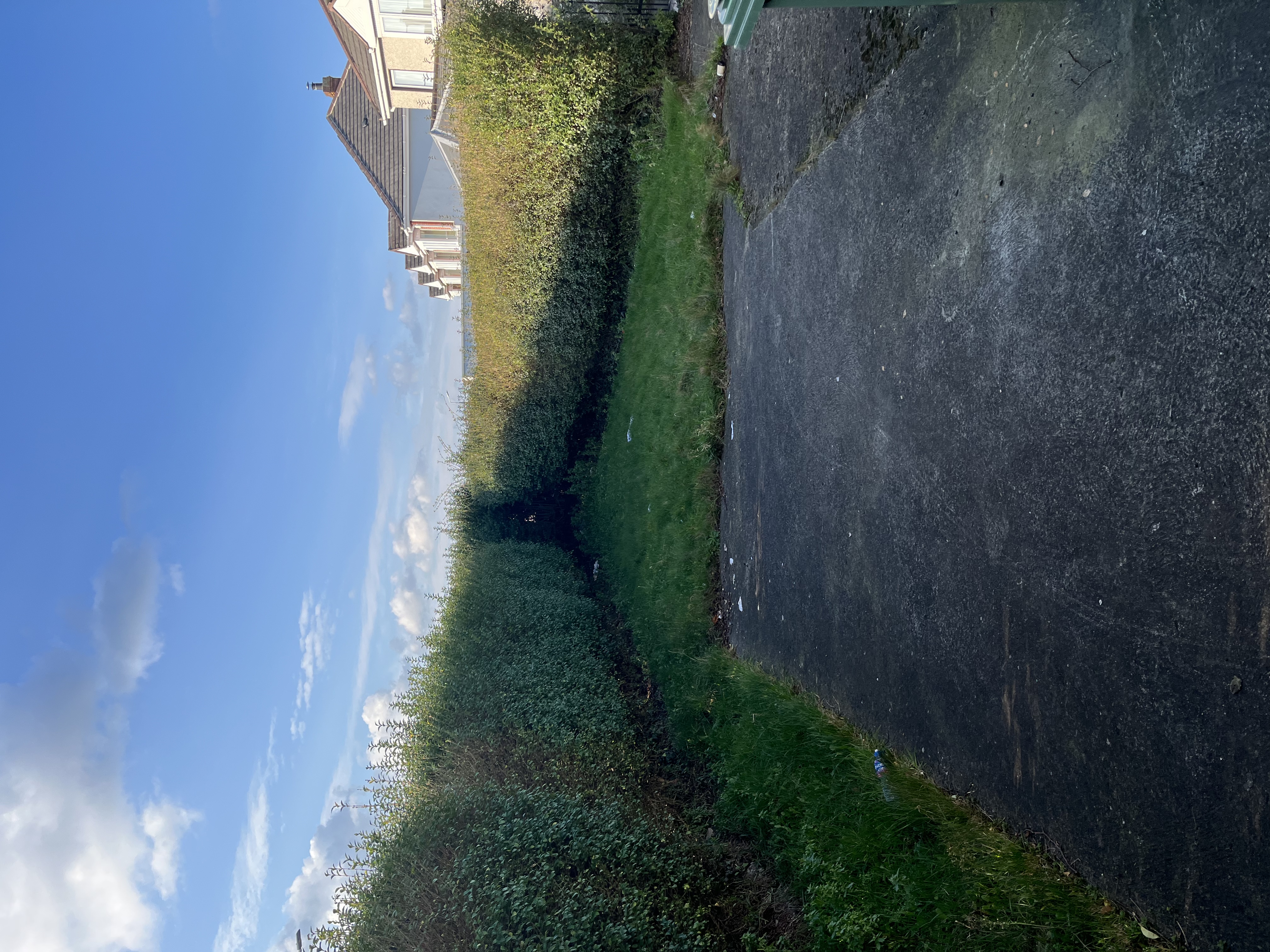 image-14