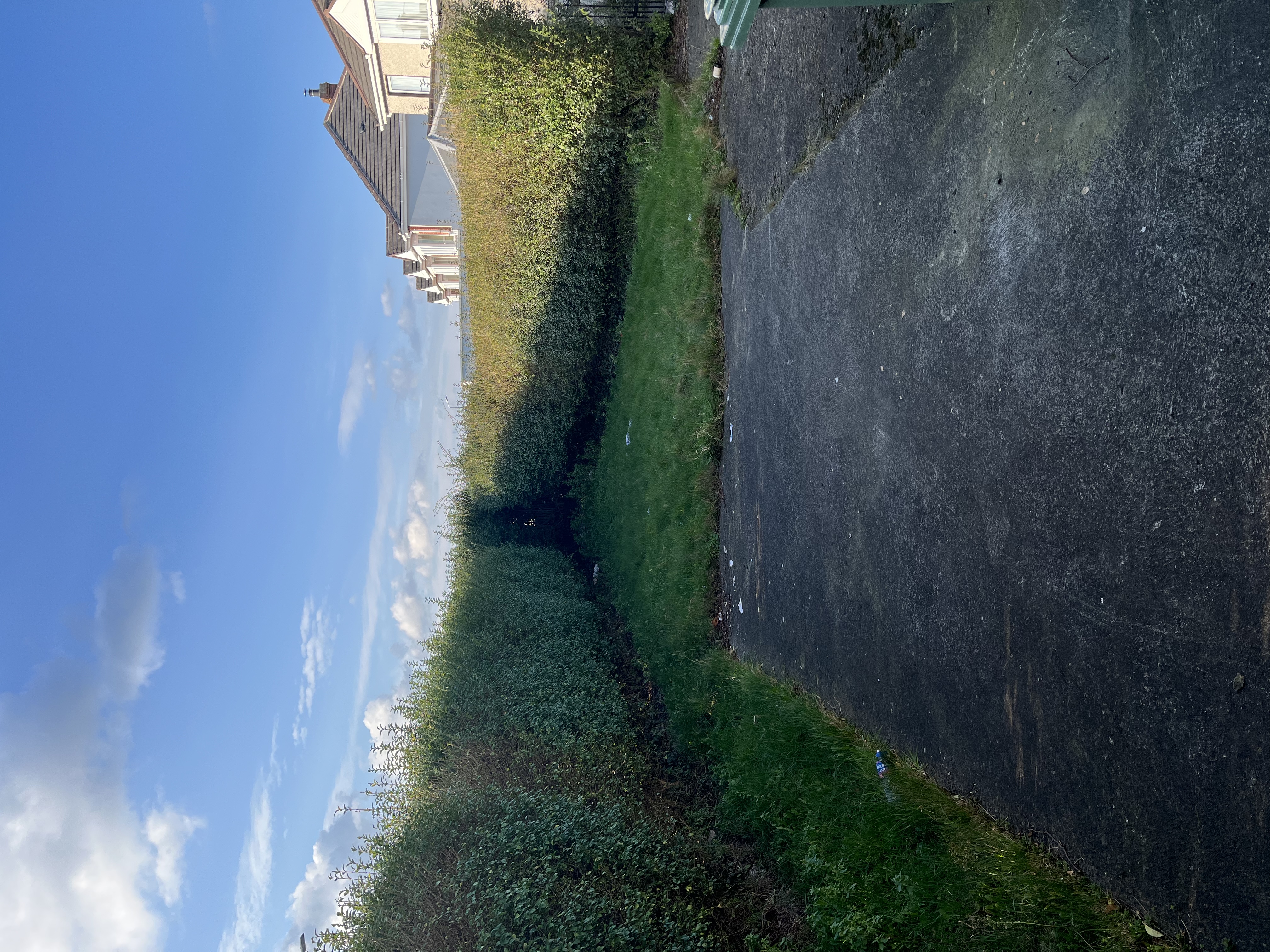 image-16