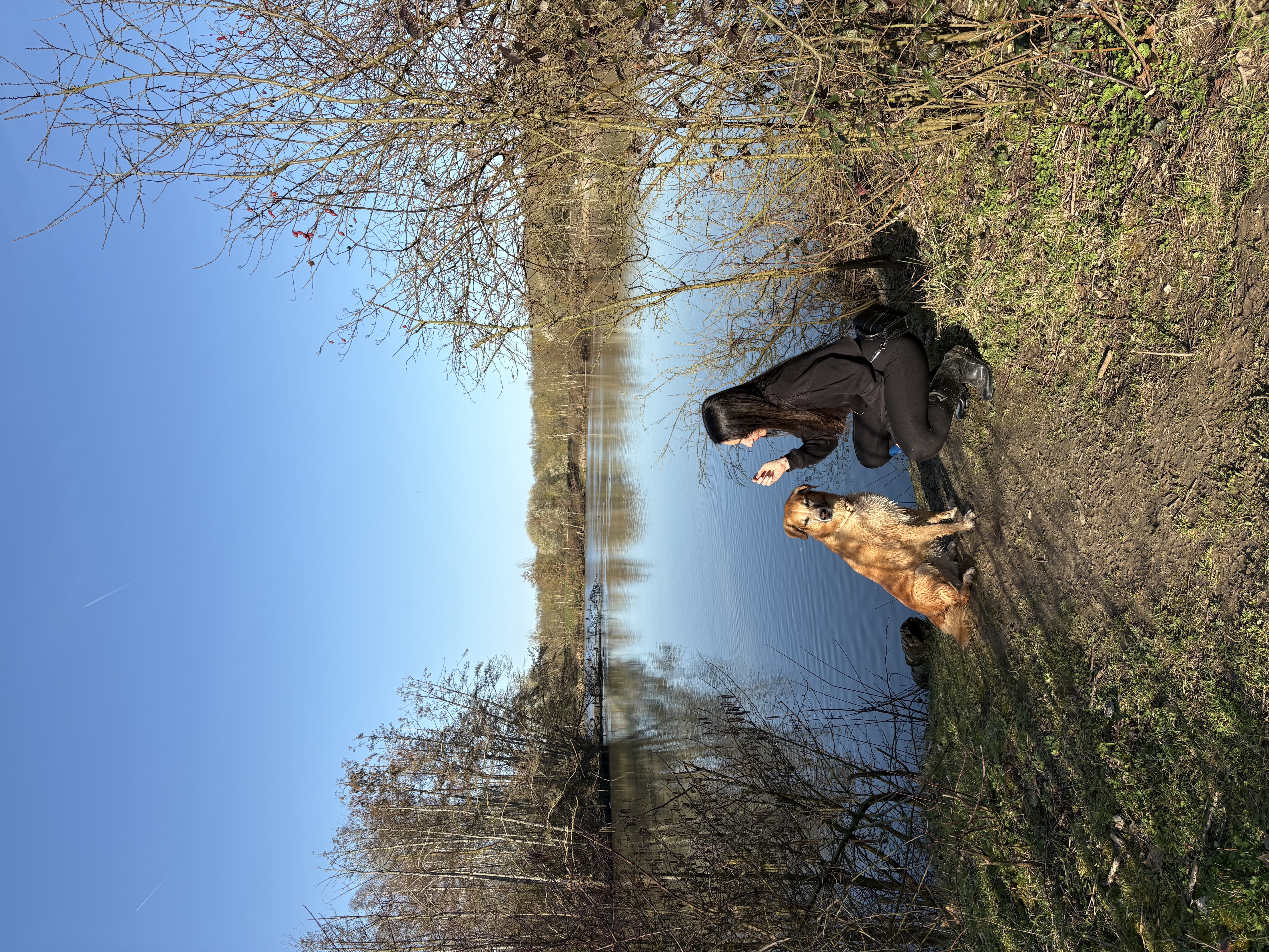 image-0