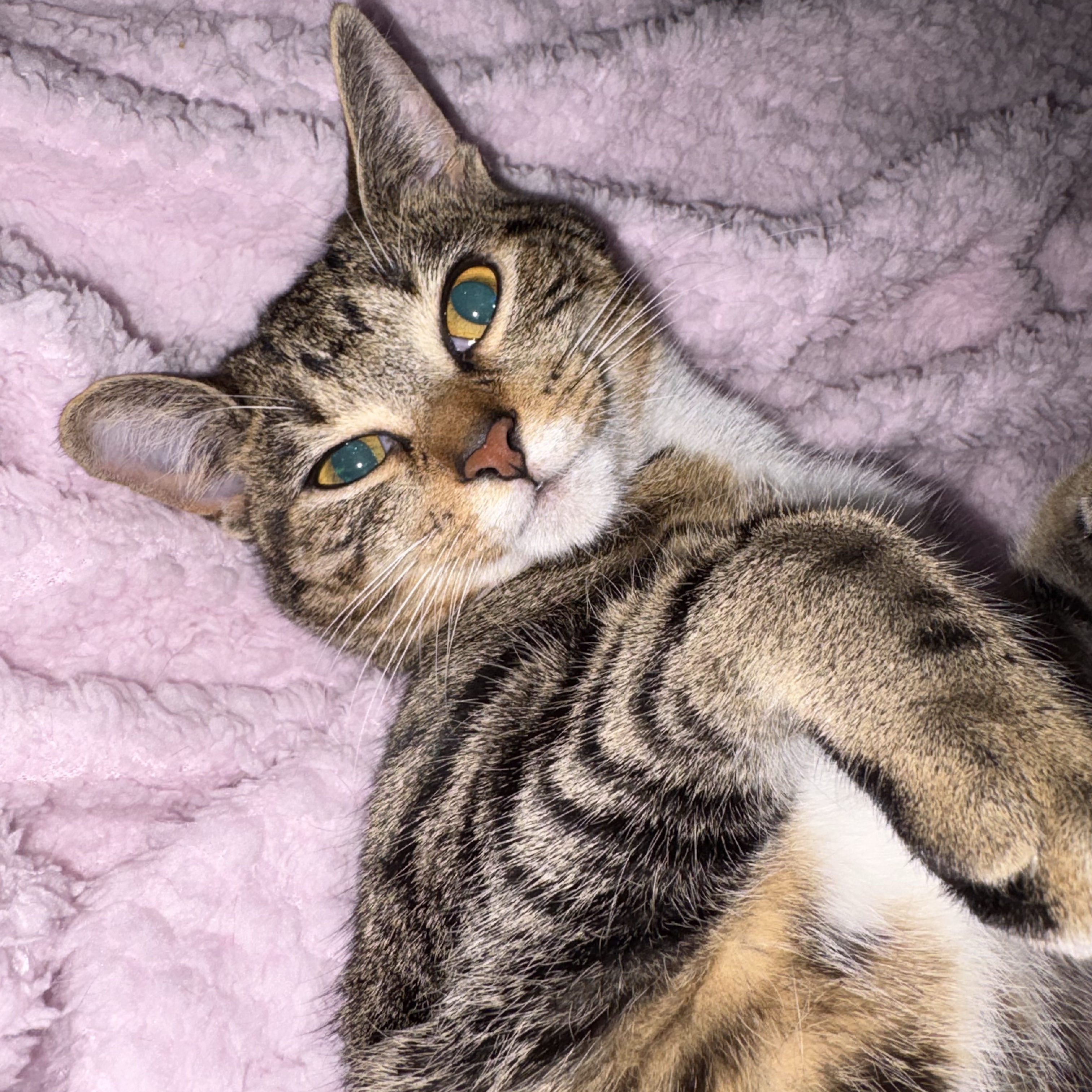 Peanut
