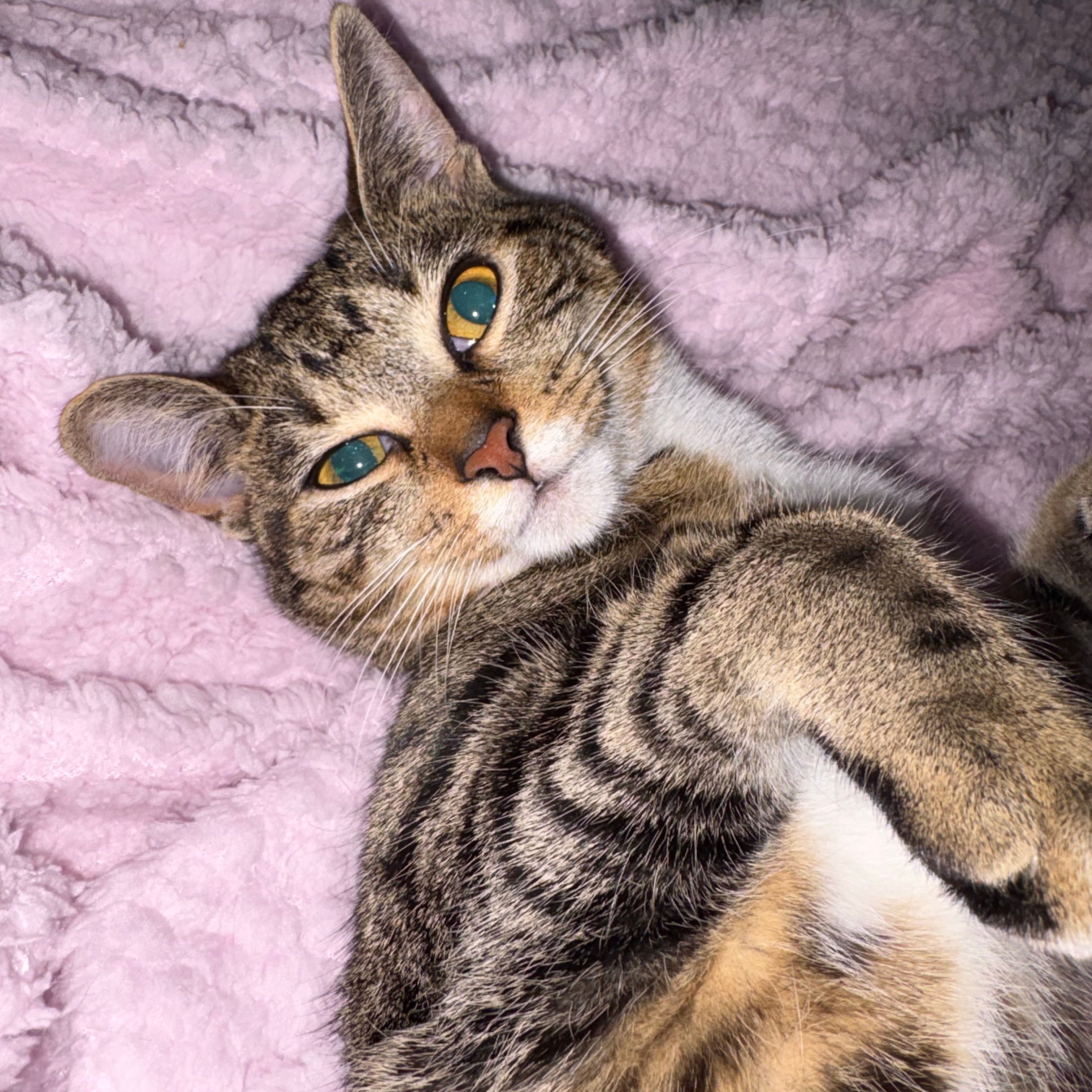 Peanut