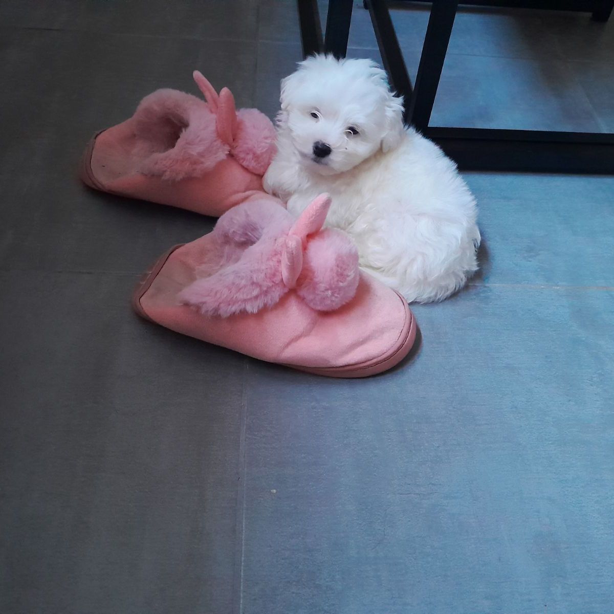 Winnie