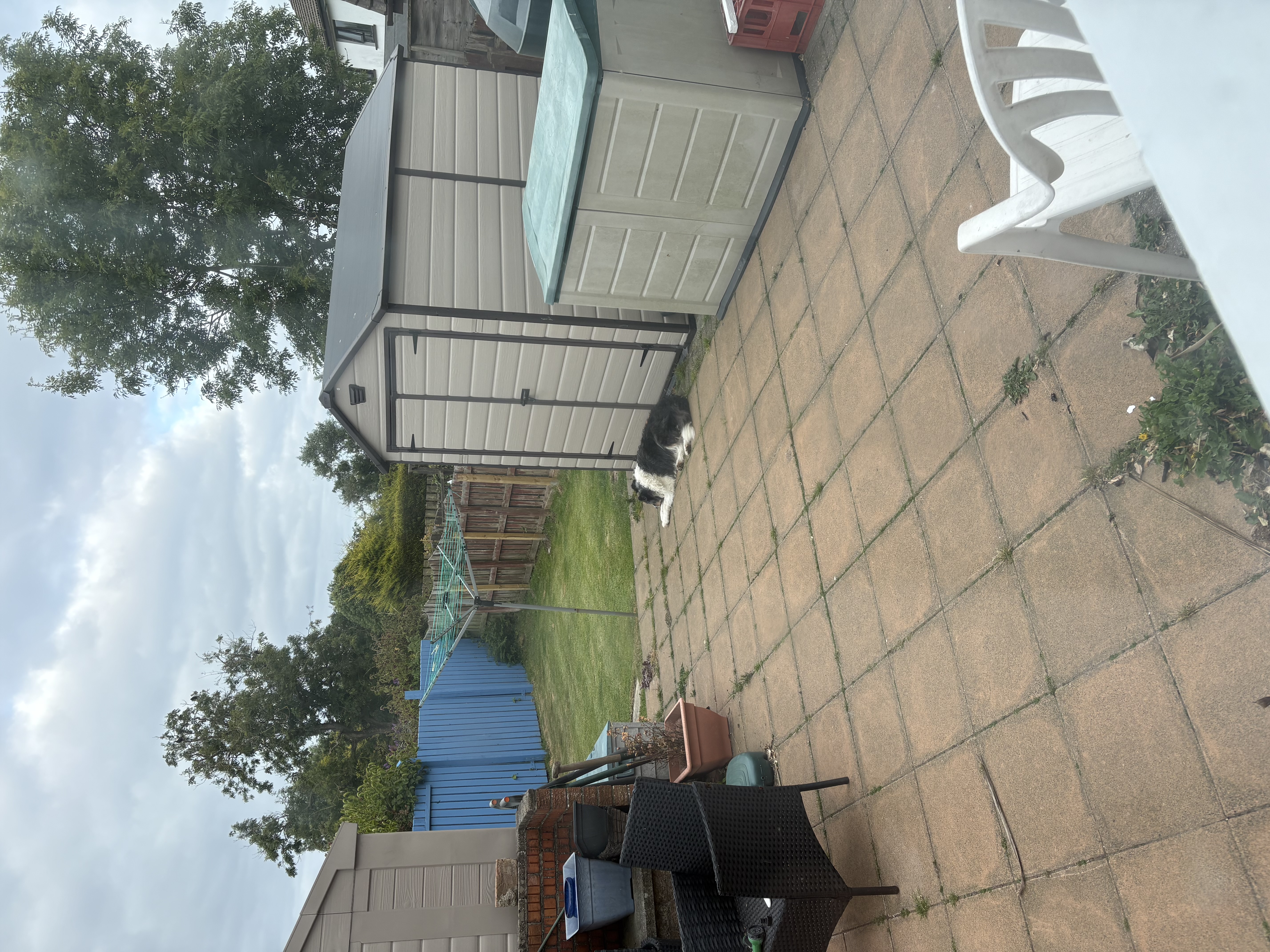 image-15