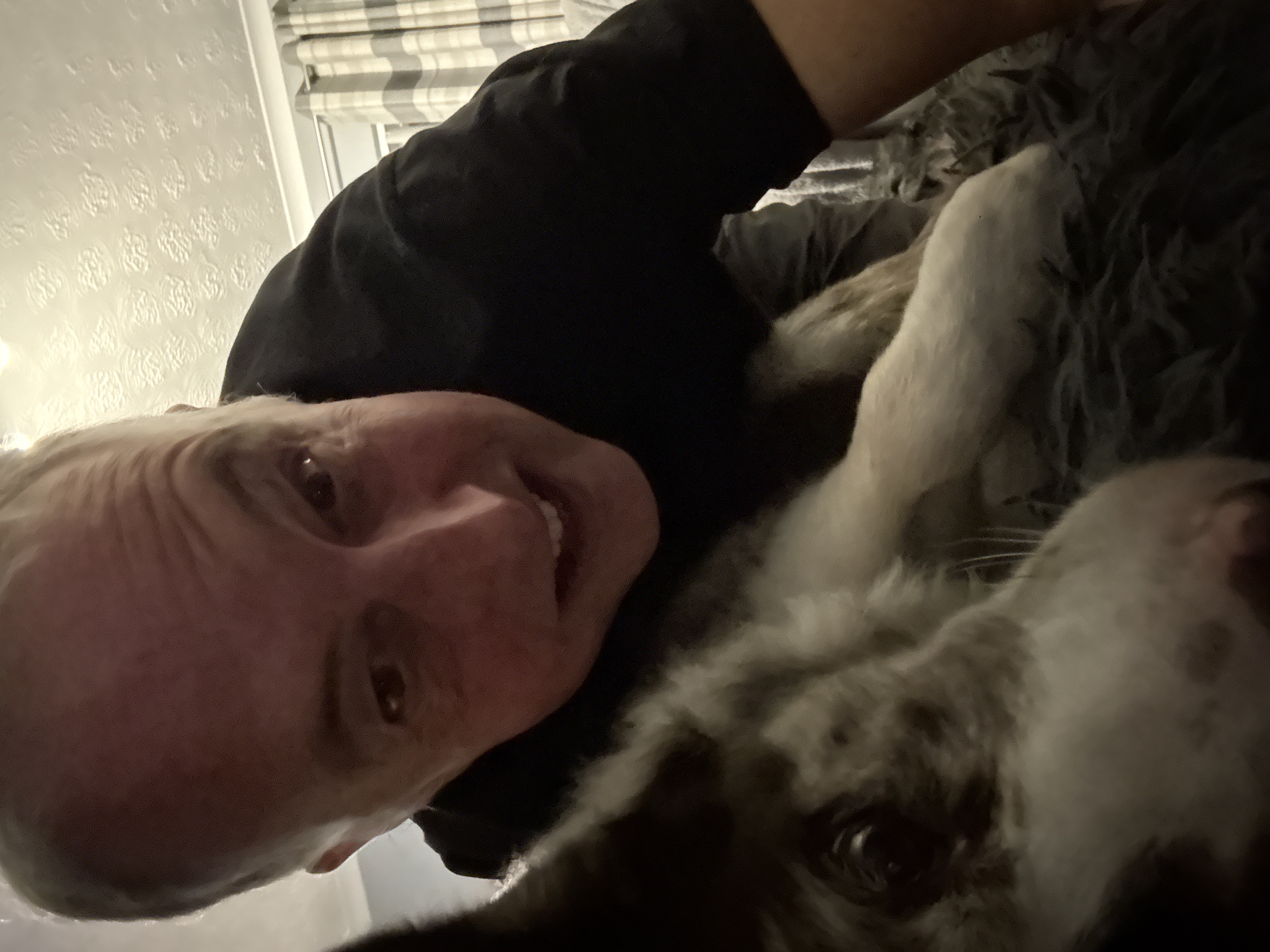 image-3