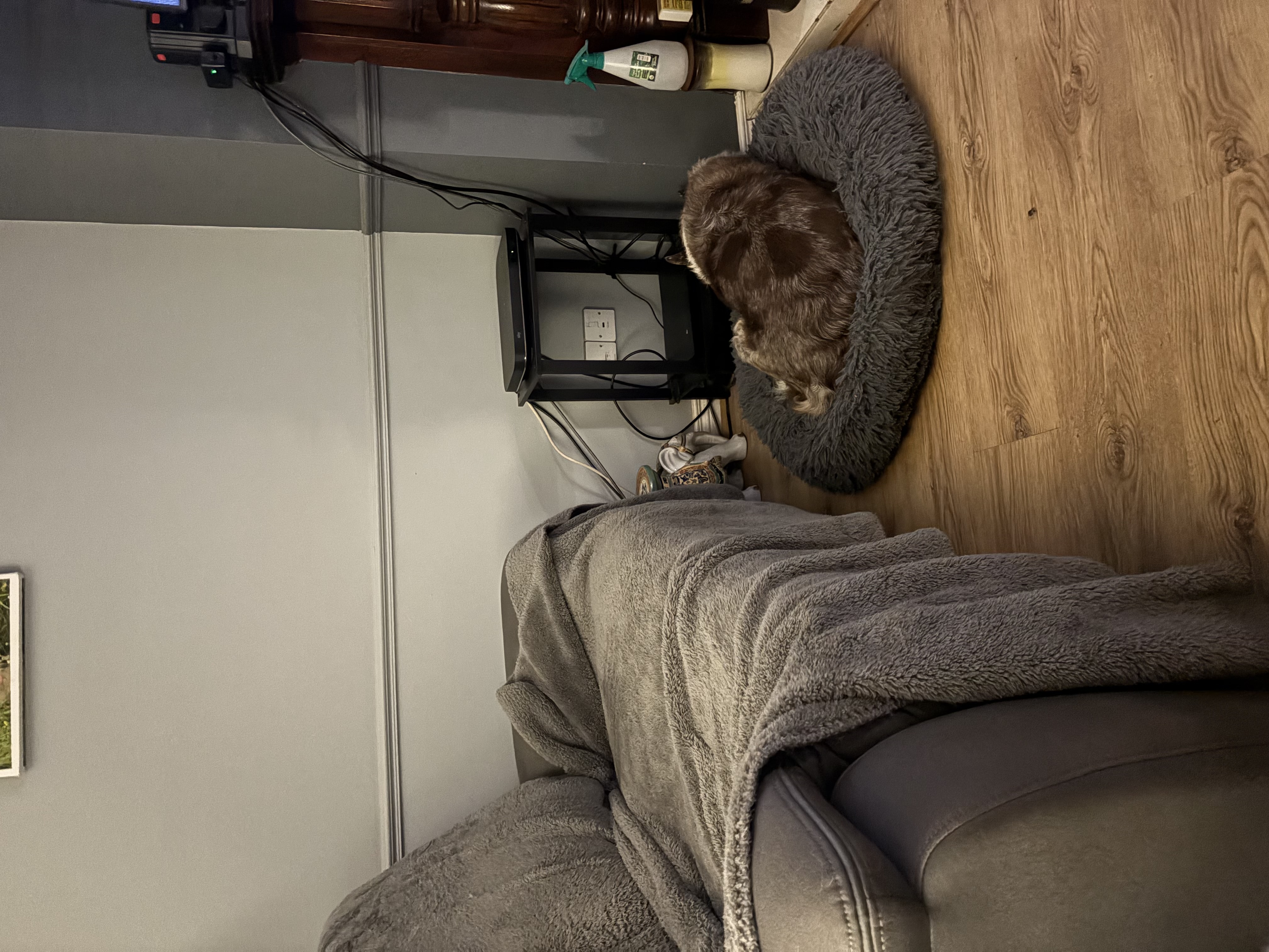 image-14