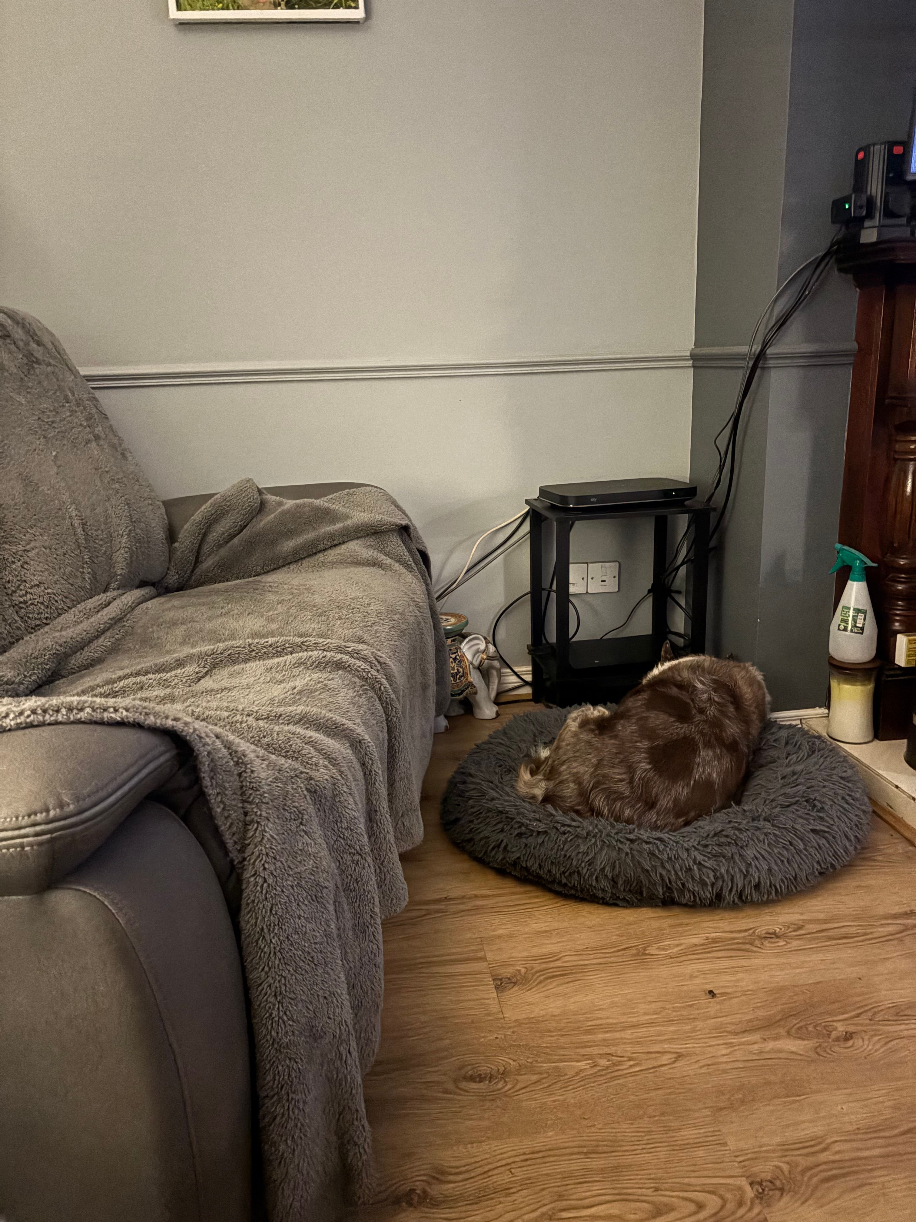 image-14