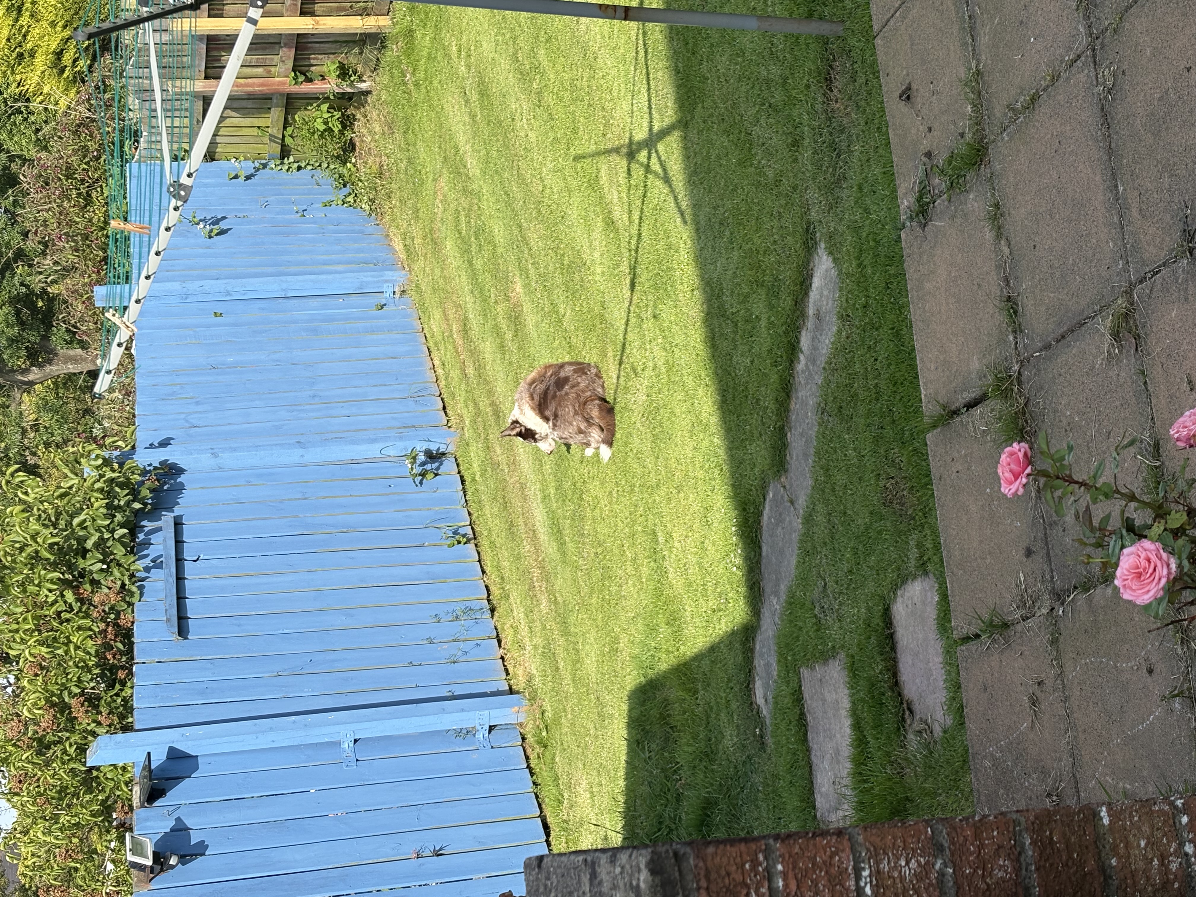 image-16