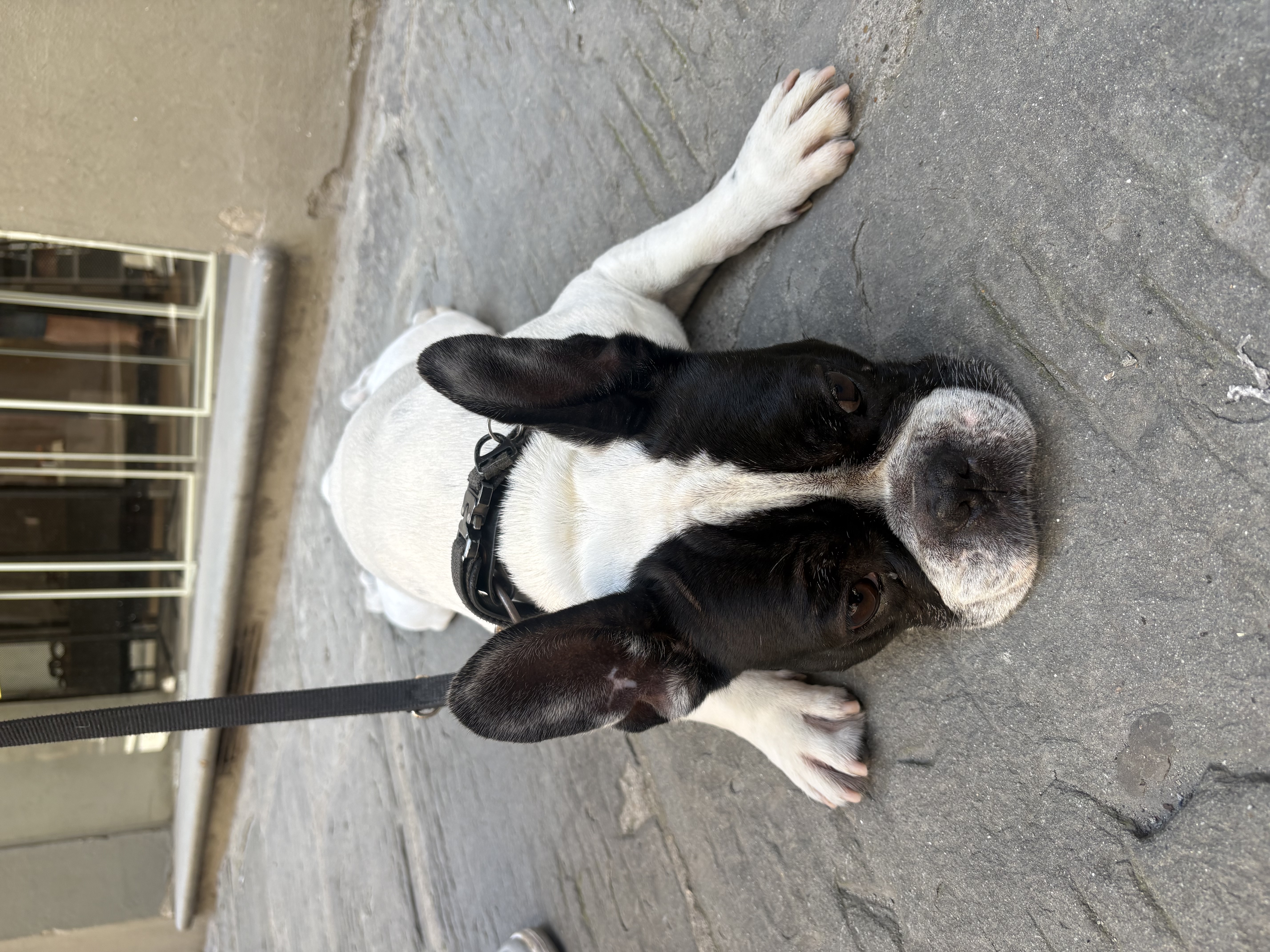 image-6