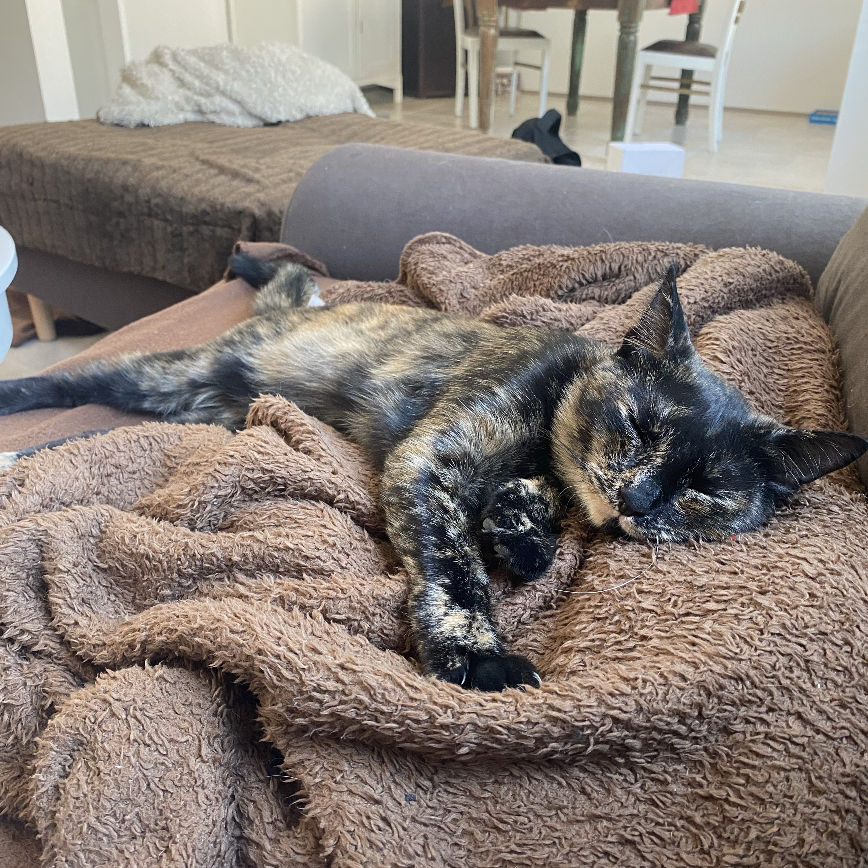 Mia