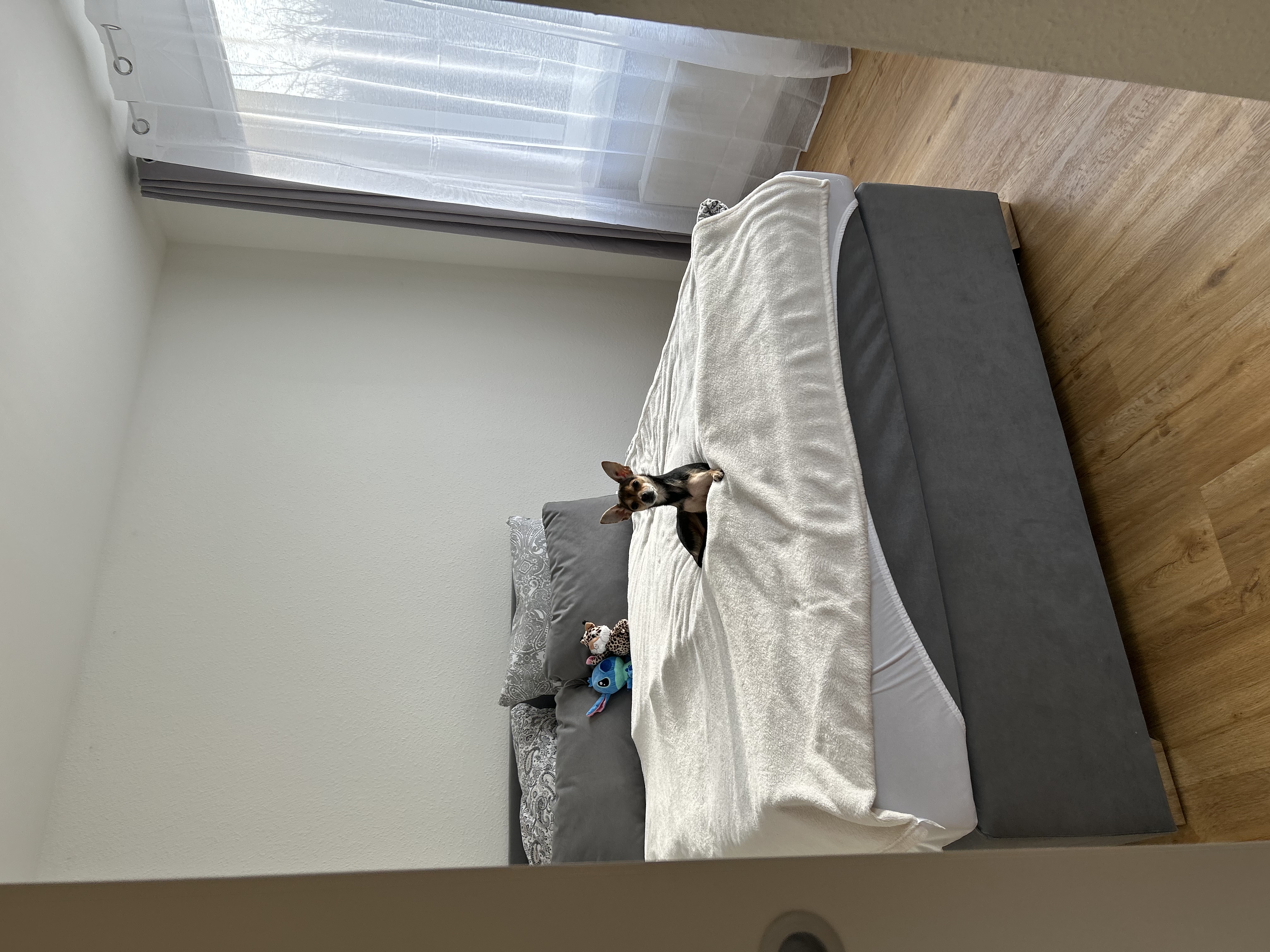 image-15