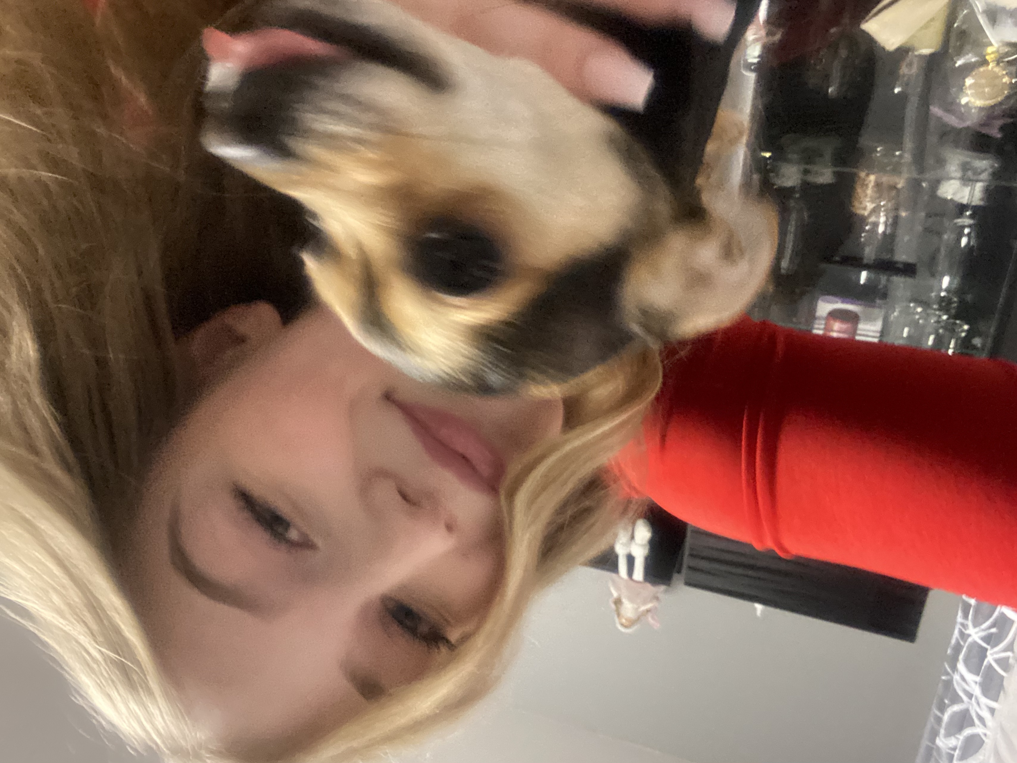 image-5