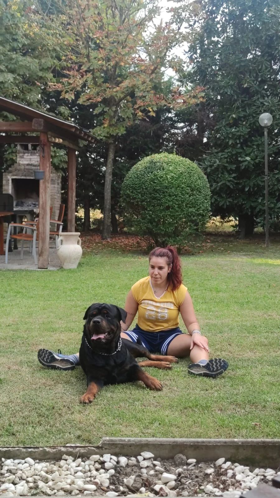 image-5