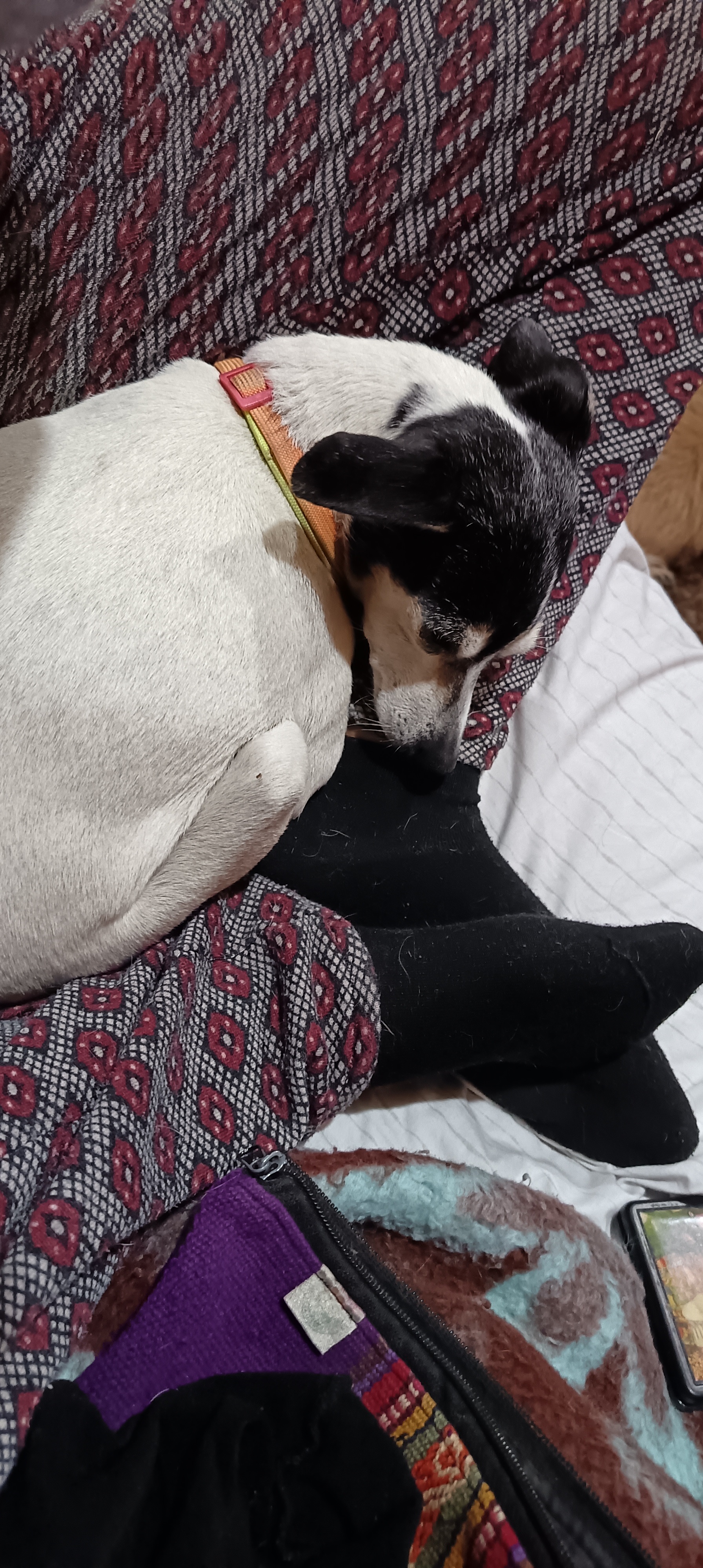 image-10