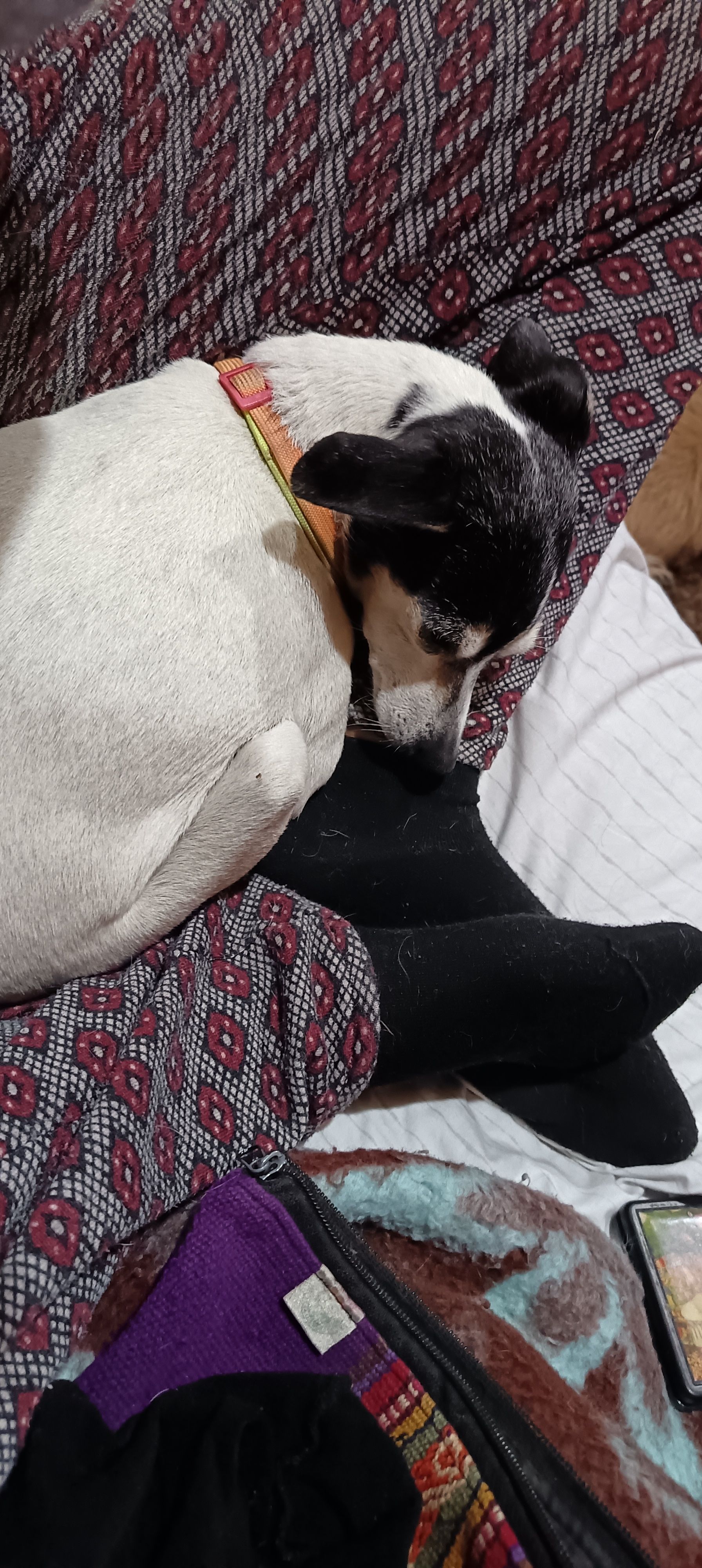 image-10