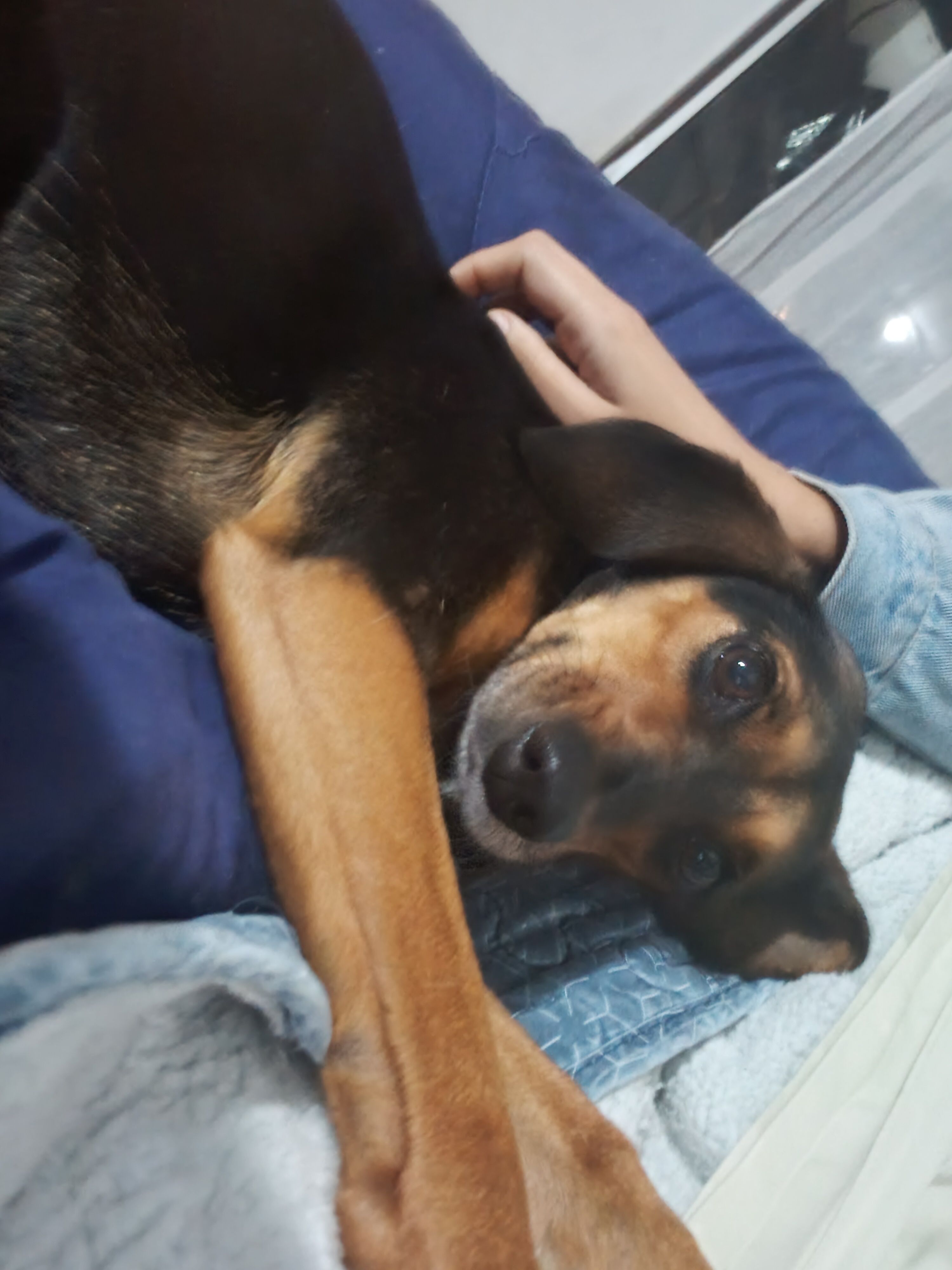 image-8