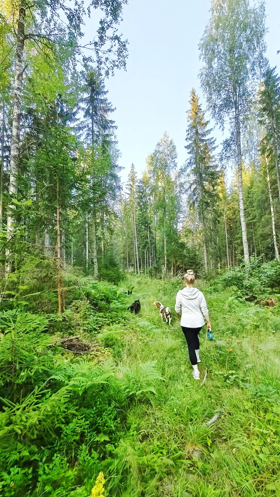 image-2